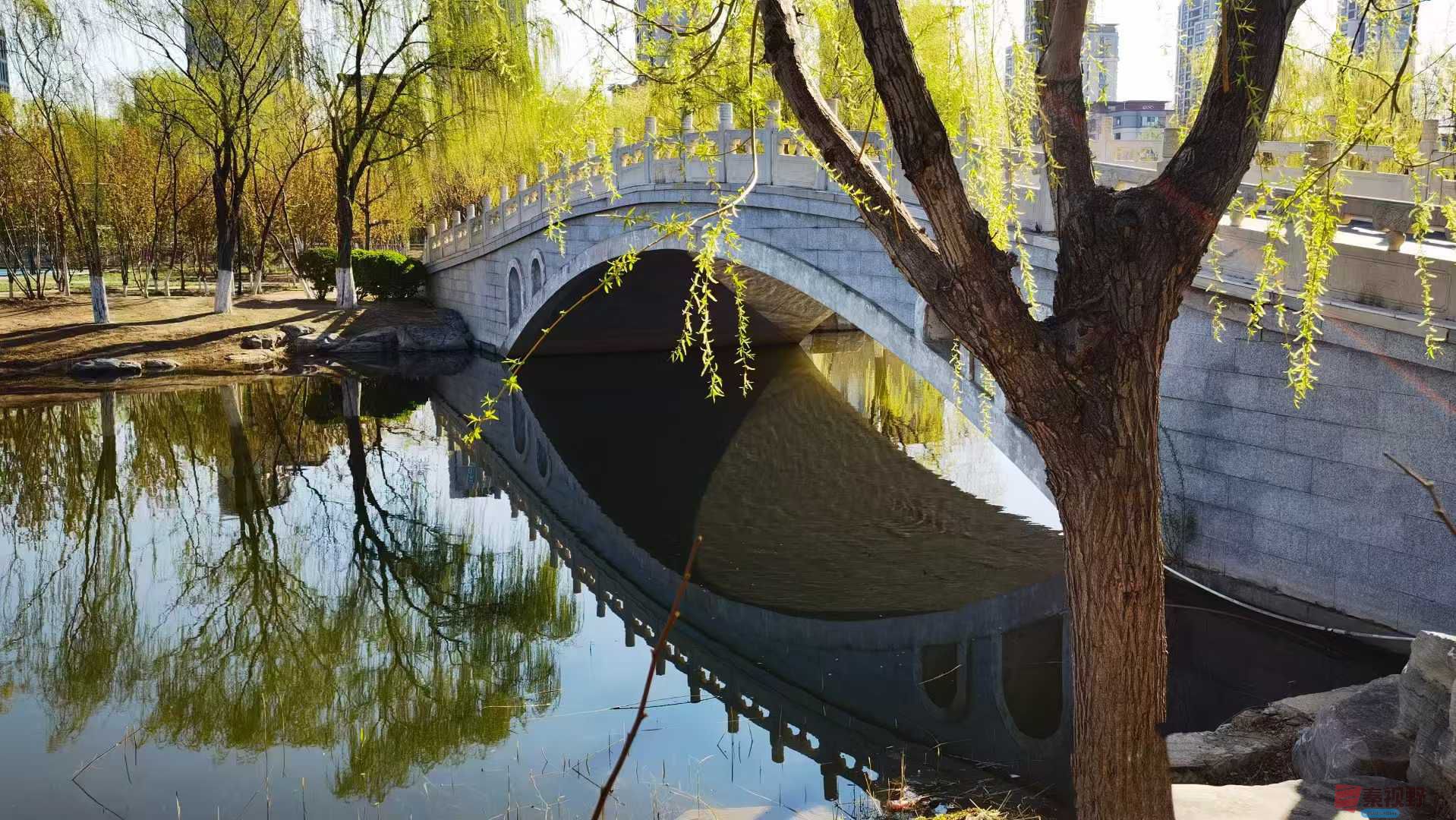 马世国_20250401104126 (7).jpg