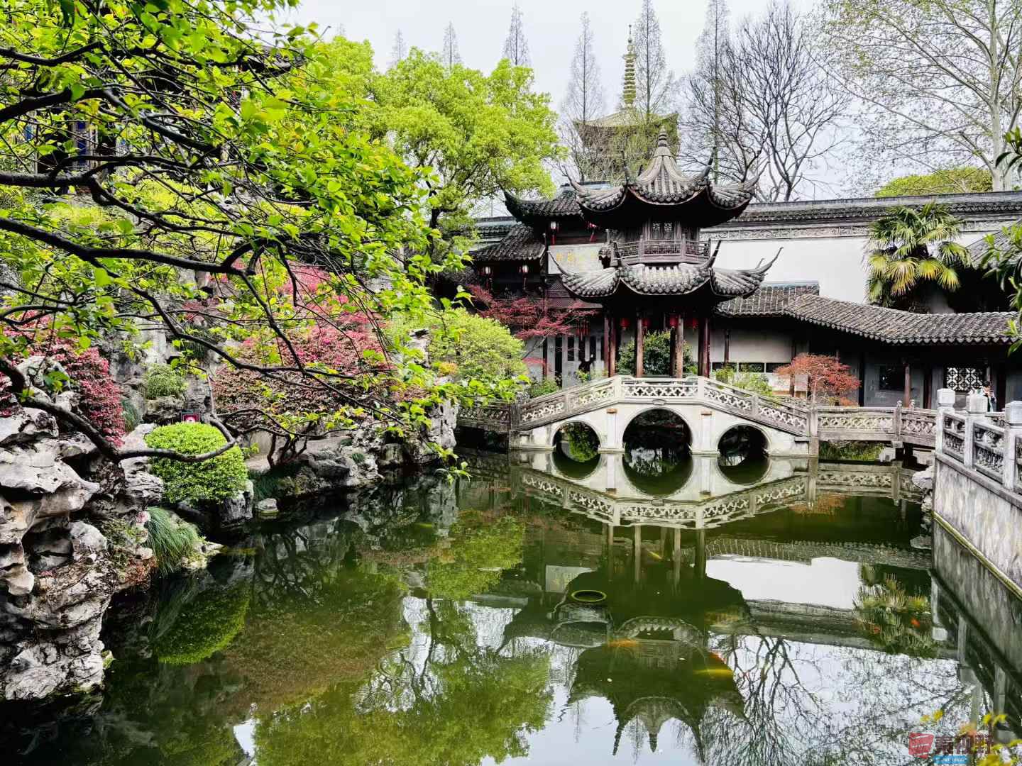 胡雪岩故居张巧玲_20250401105115 (2).jpg