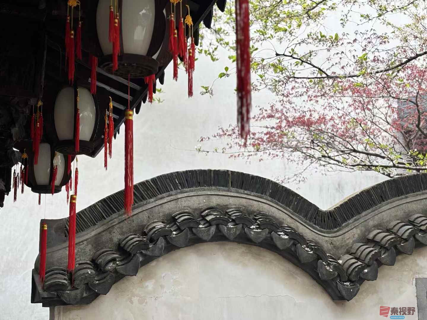 胡雪岩故居张巧玲_20250401105115 (8).jpg
