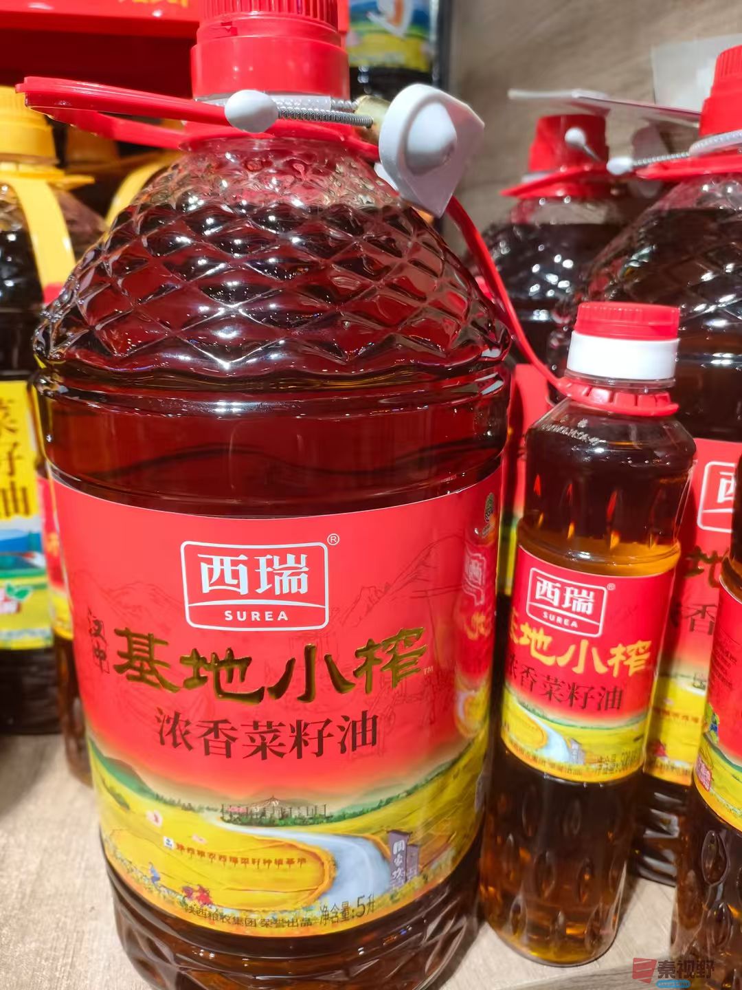 微信图片_20250403234632.jpg
