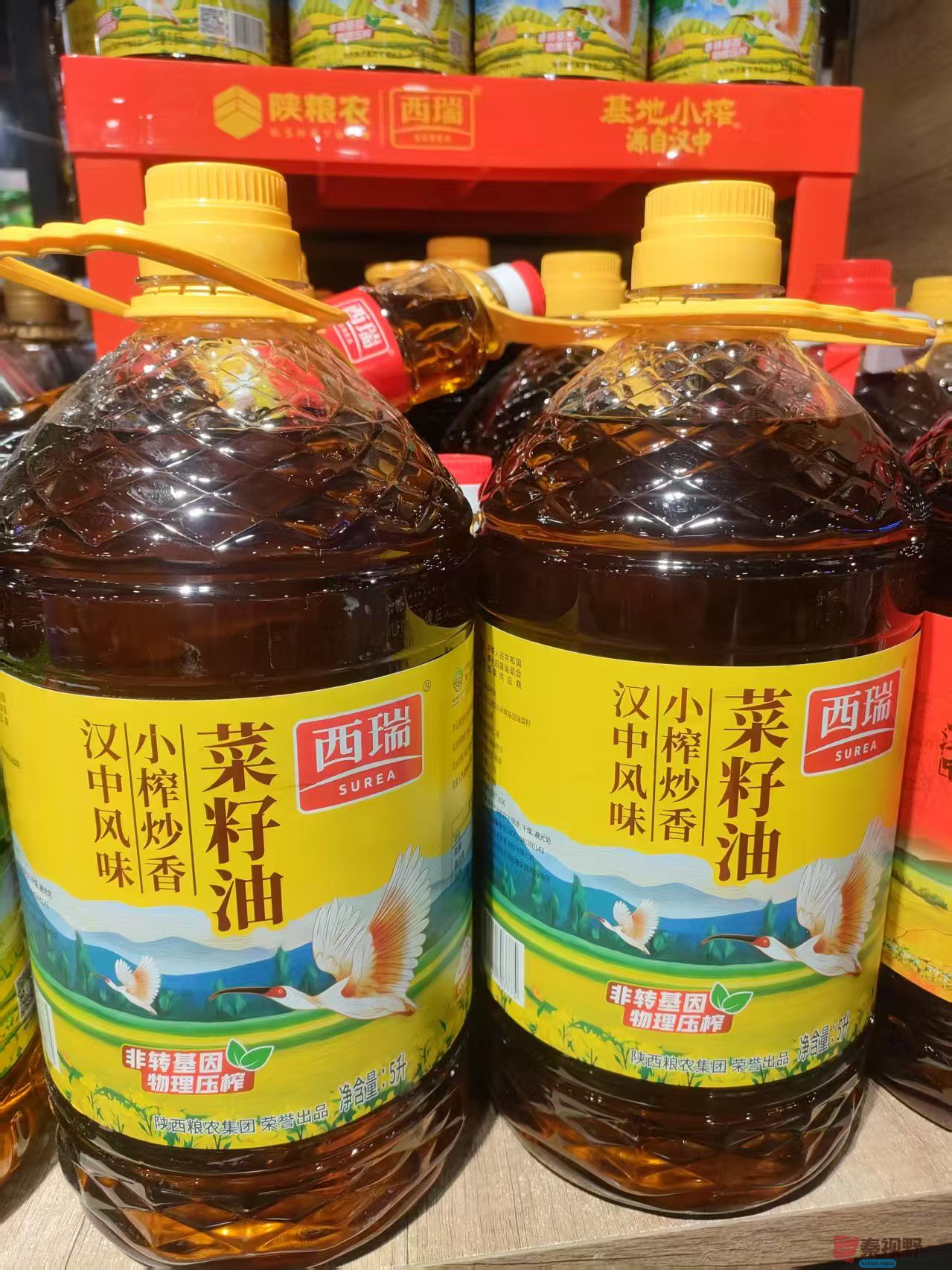微信图片_20250403234642.jpg