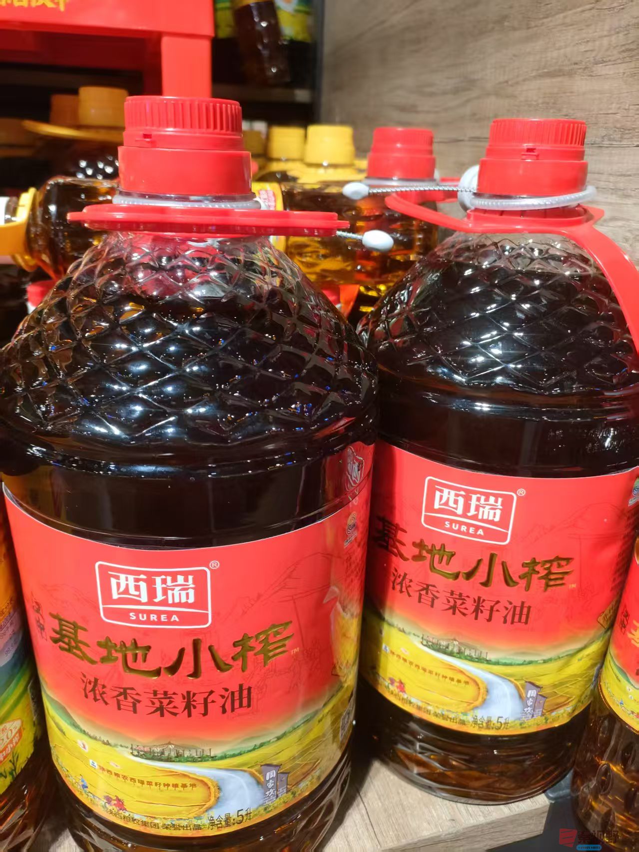 微信图片_20250403234654.jpg