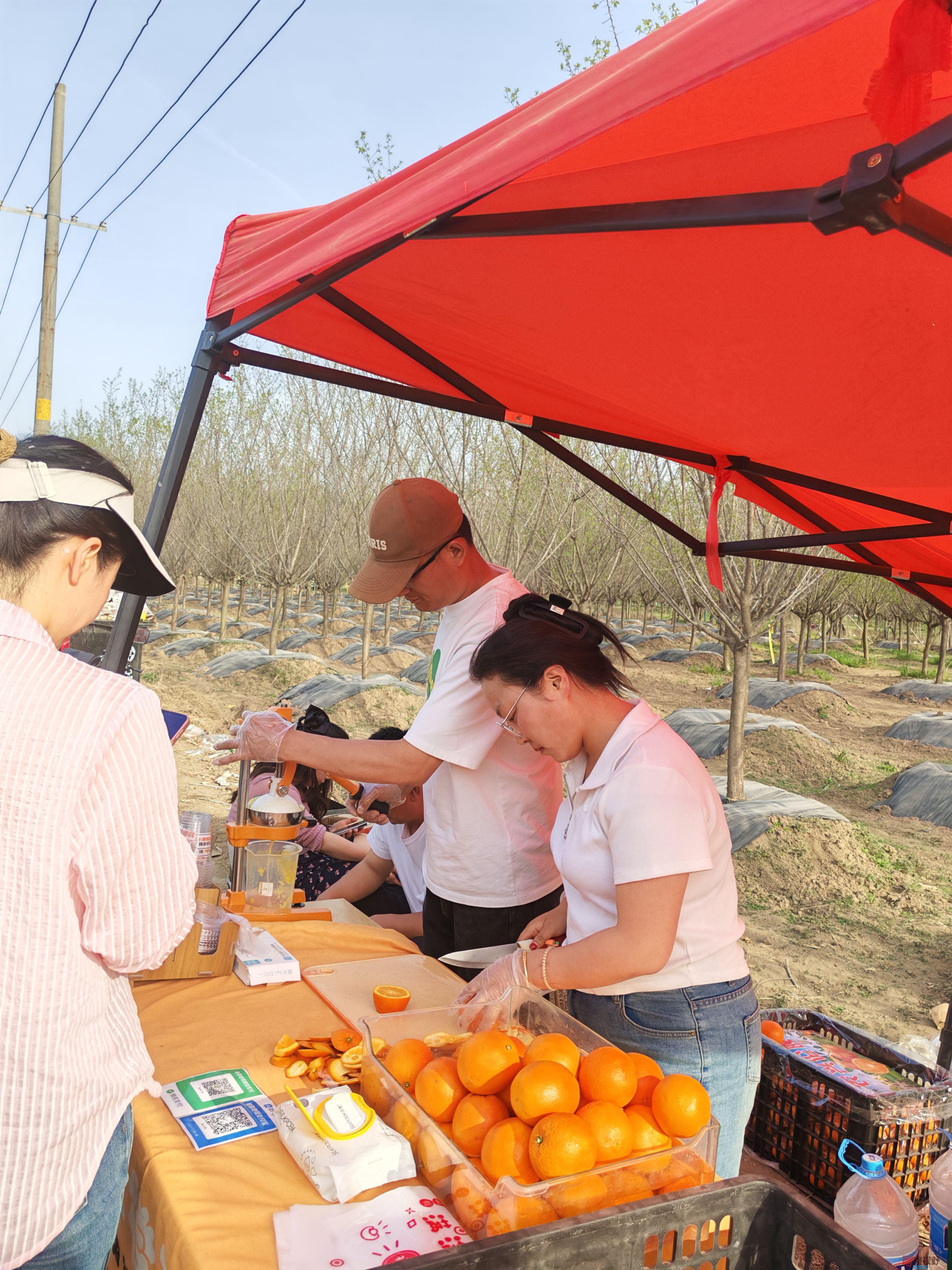 IMG_20250405_170253.jpg