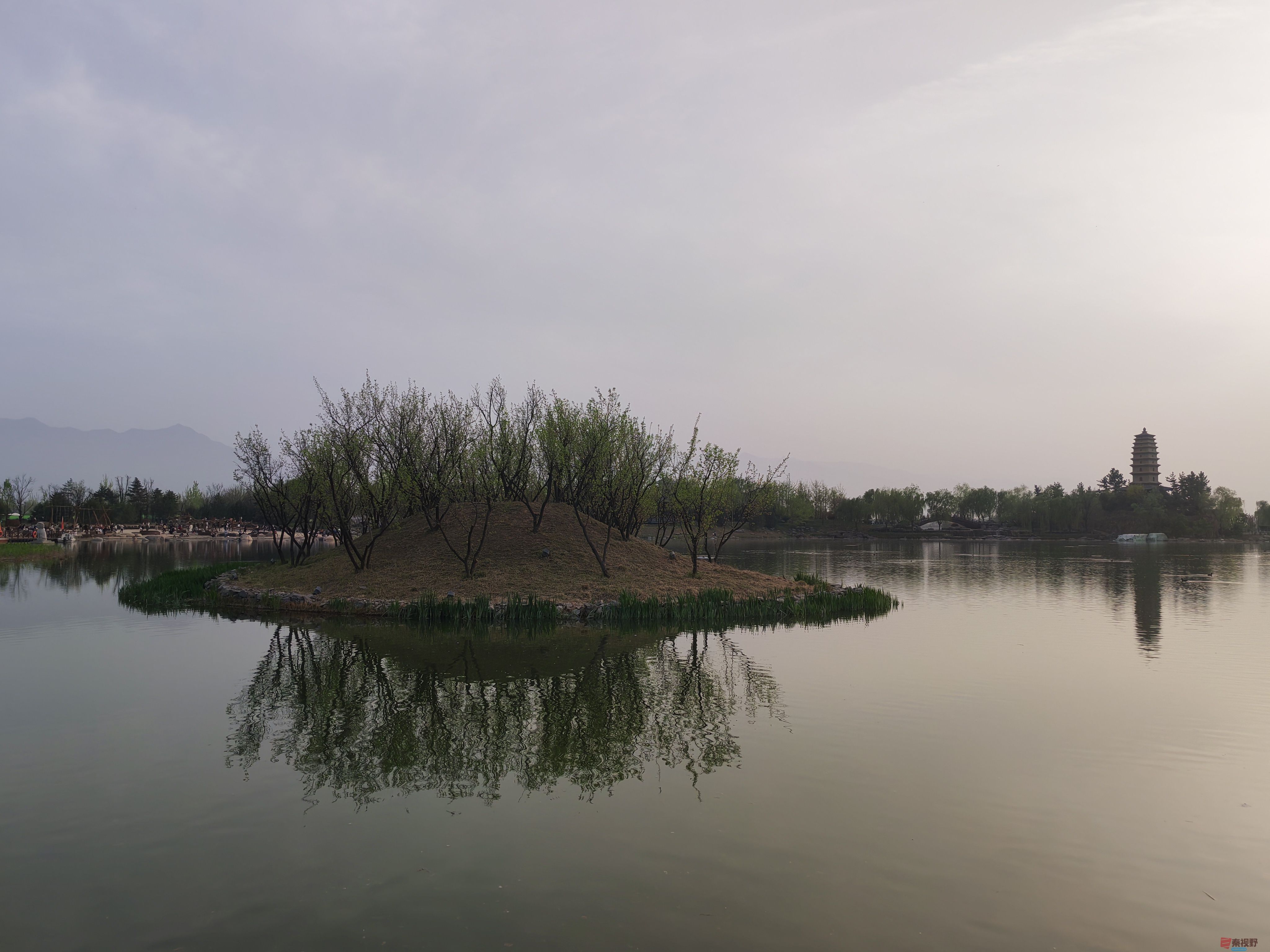 IMG_20250405_181547.jpg