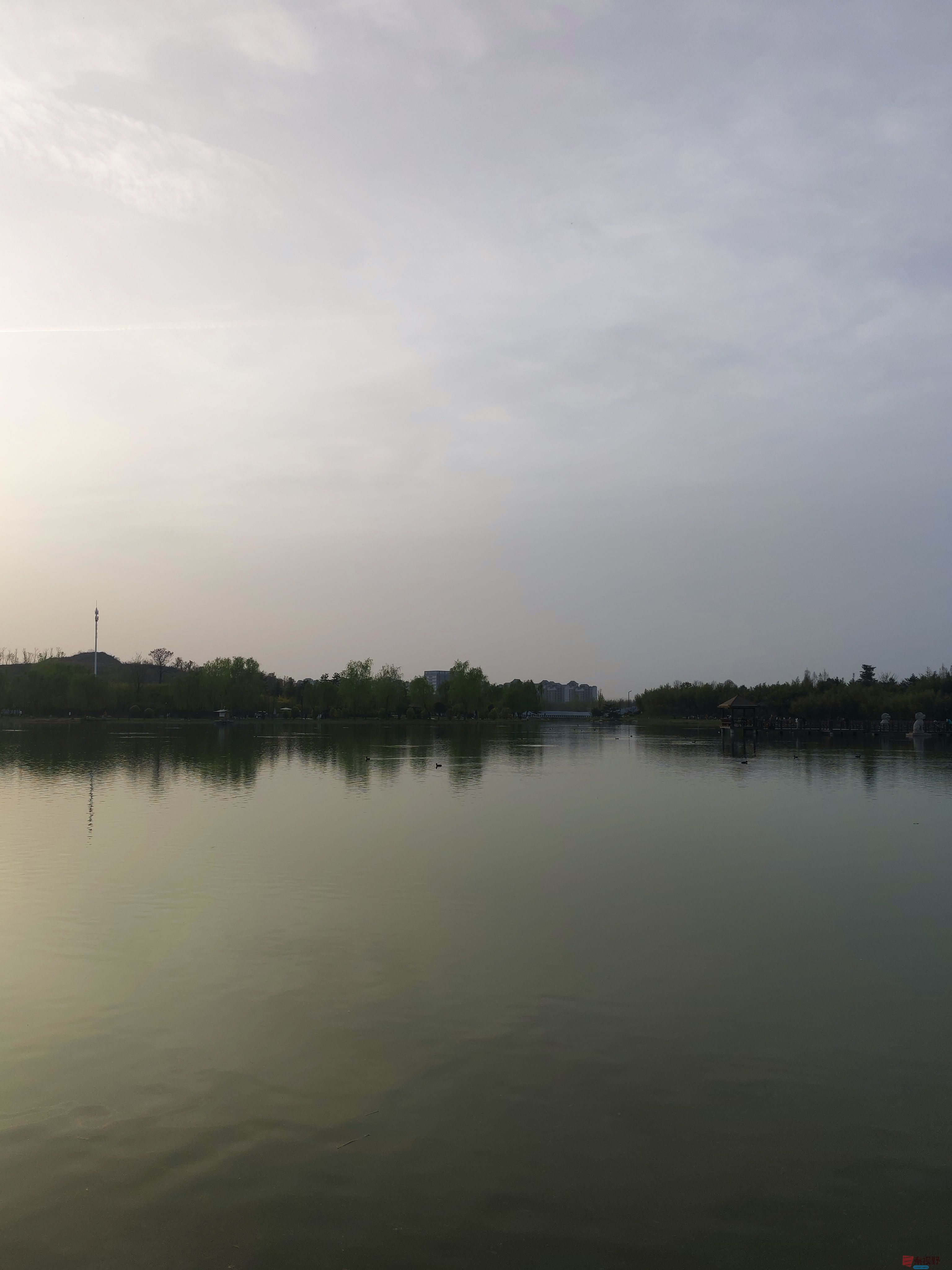 IMG_20250405_181600.jpg