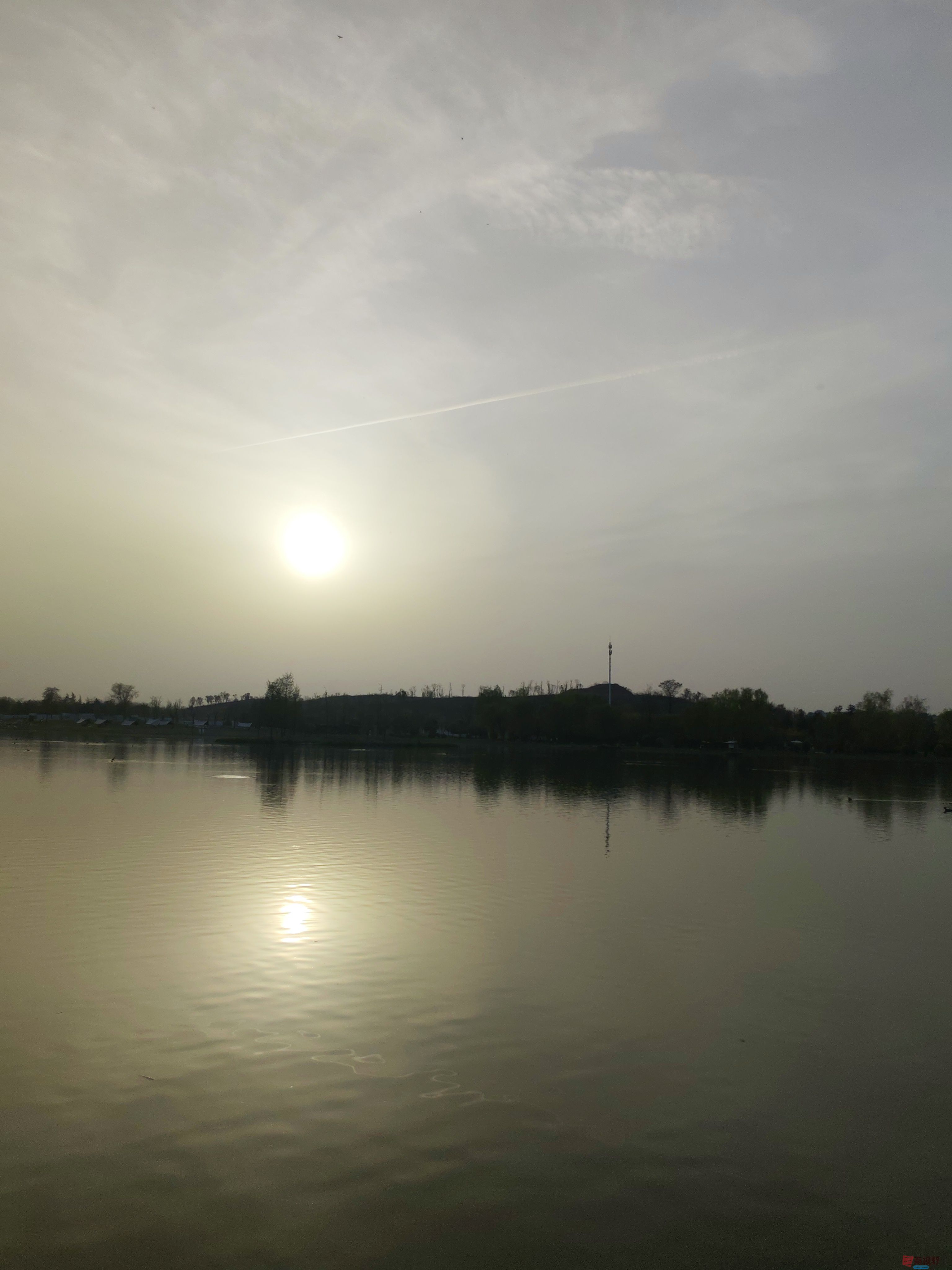 IMG_20250405_181609.jpg
