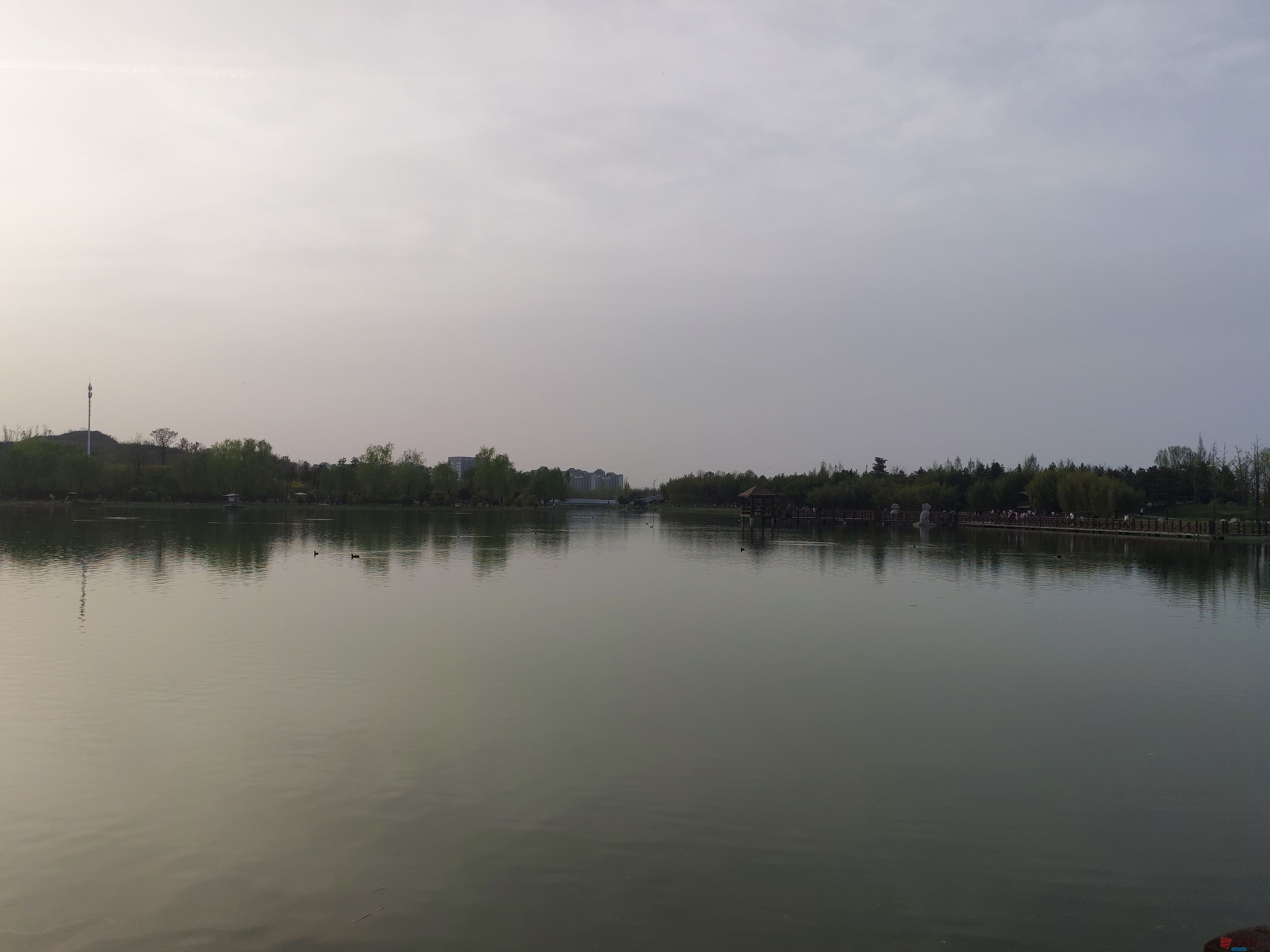 IMG_20250405_181621.jpg