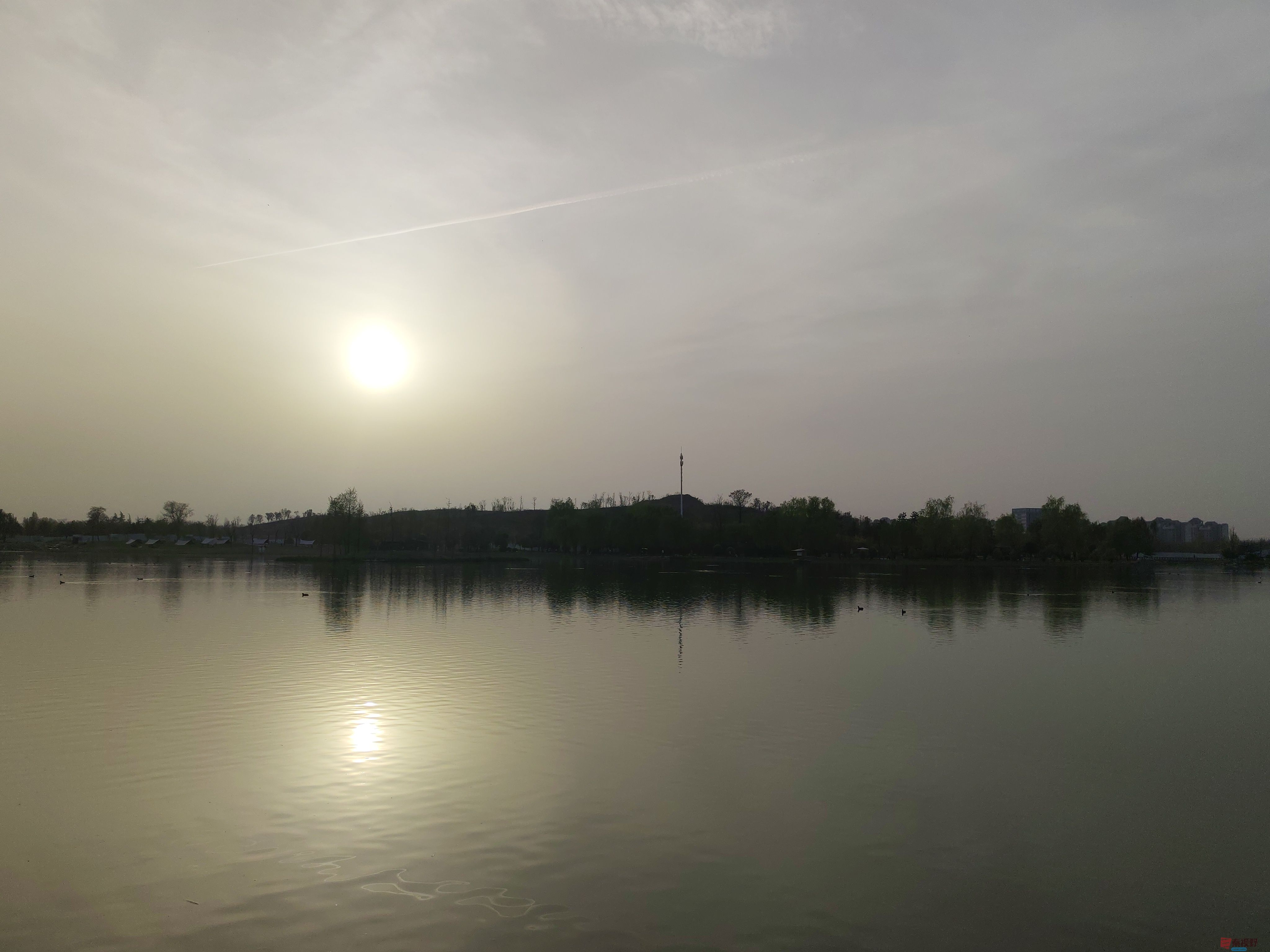 IMG_20250405_181625.jpg