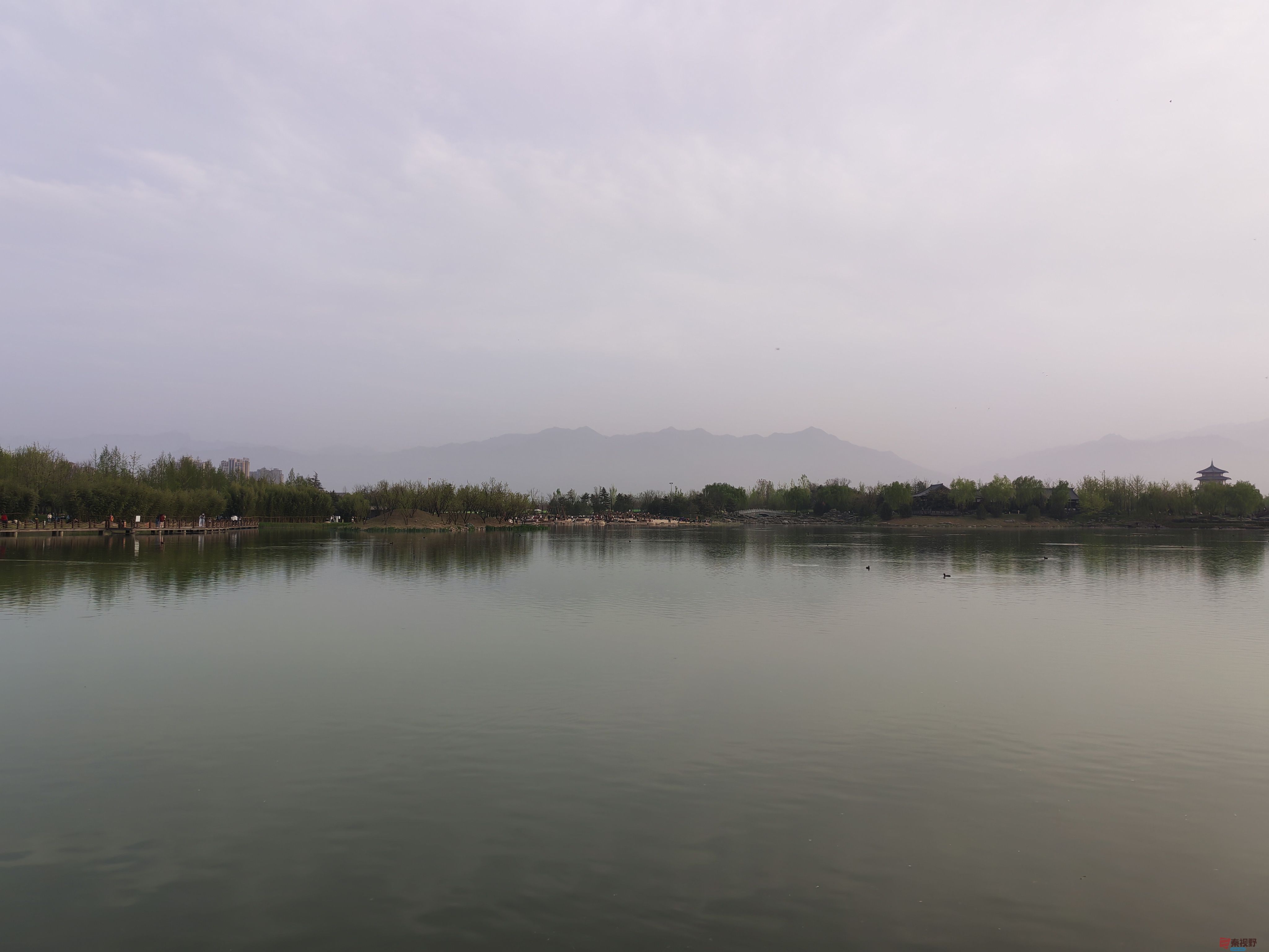 IMG_20250405_181951.jpg