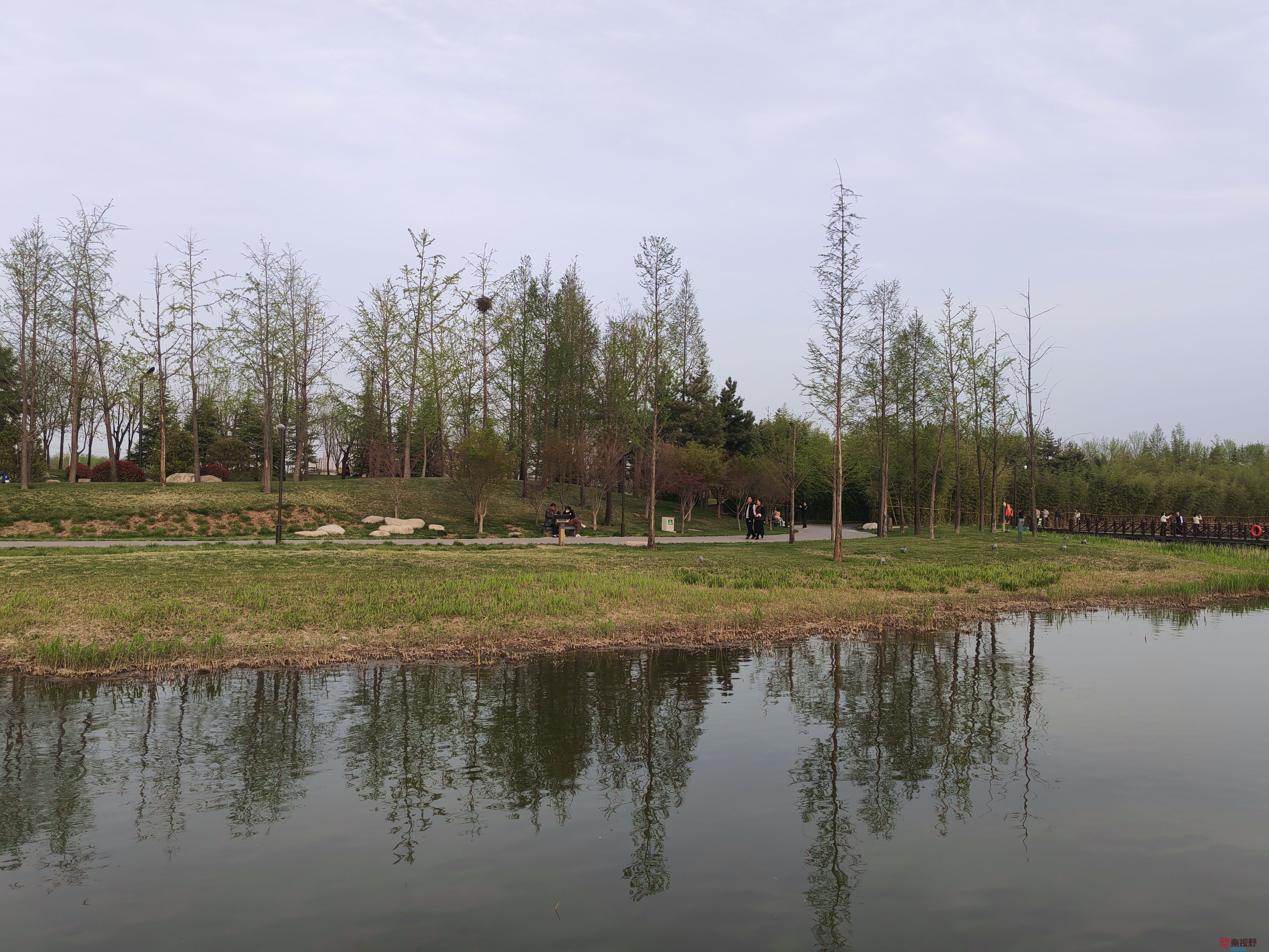 IMG_20250405_182040.jpg