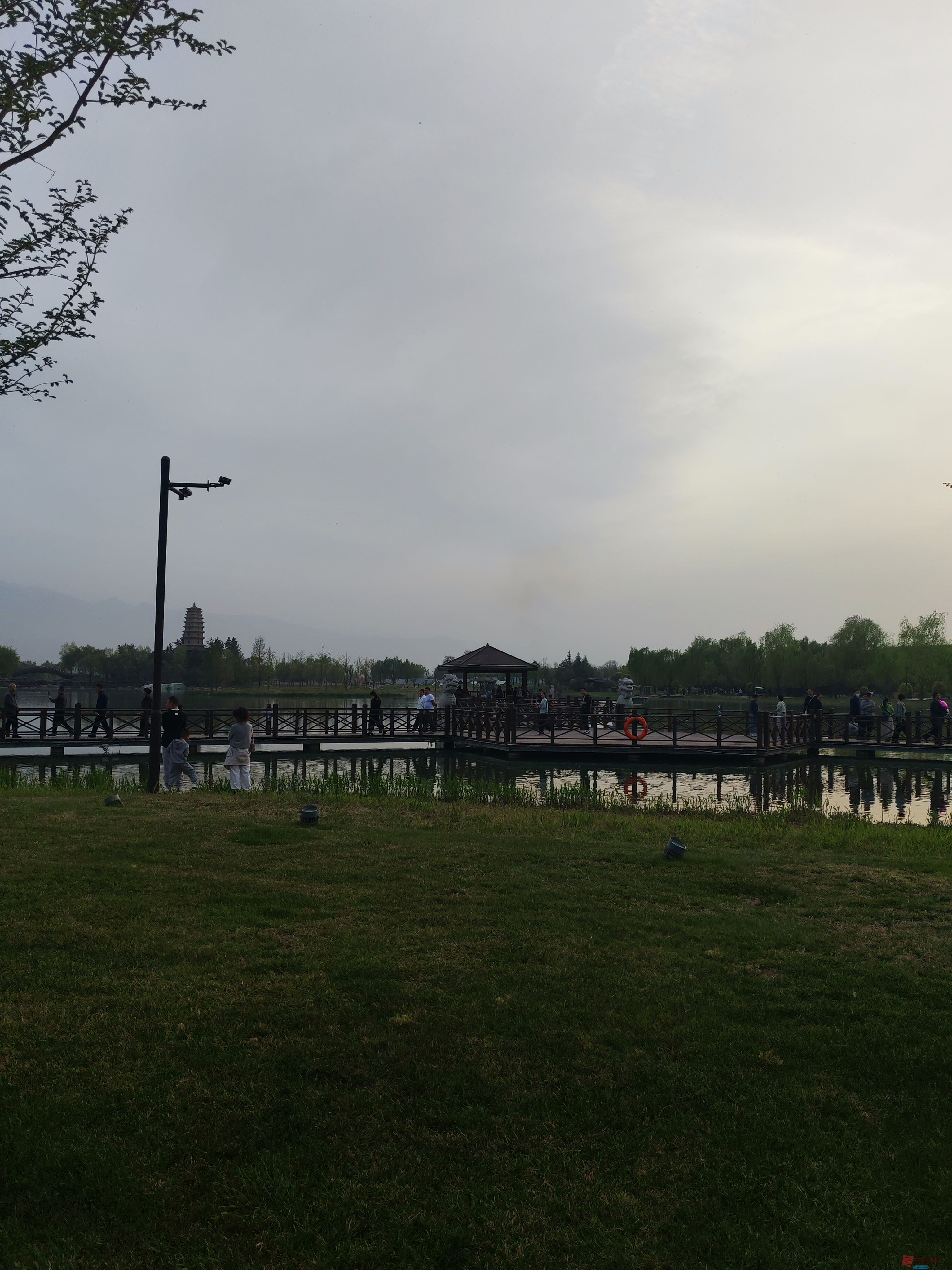 IMG_20250405_183832.jpg