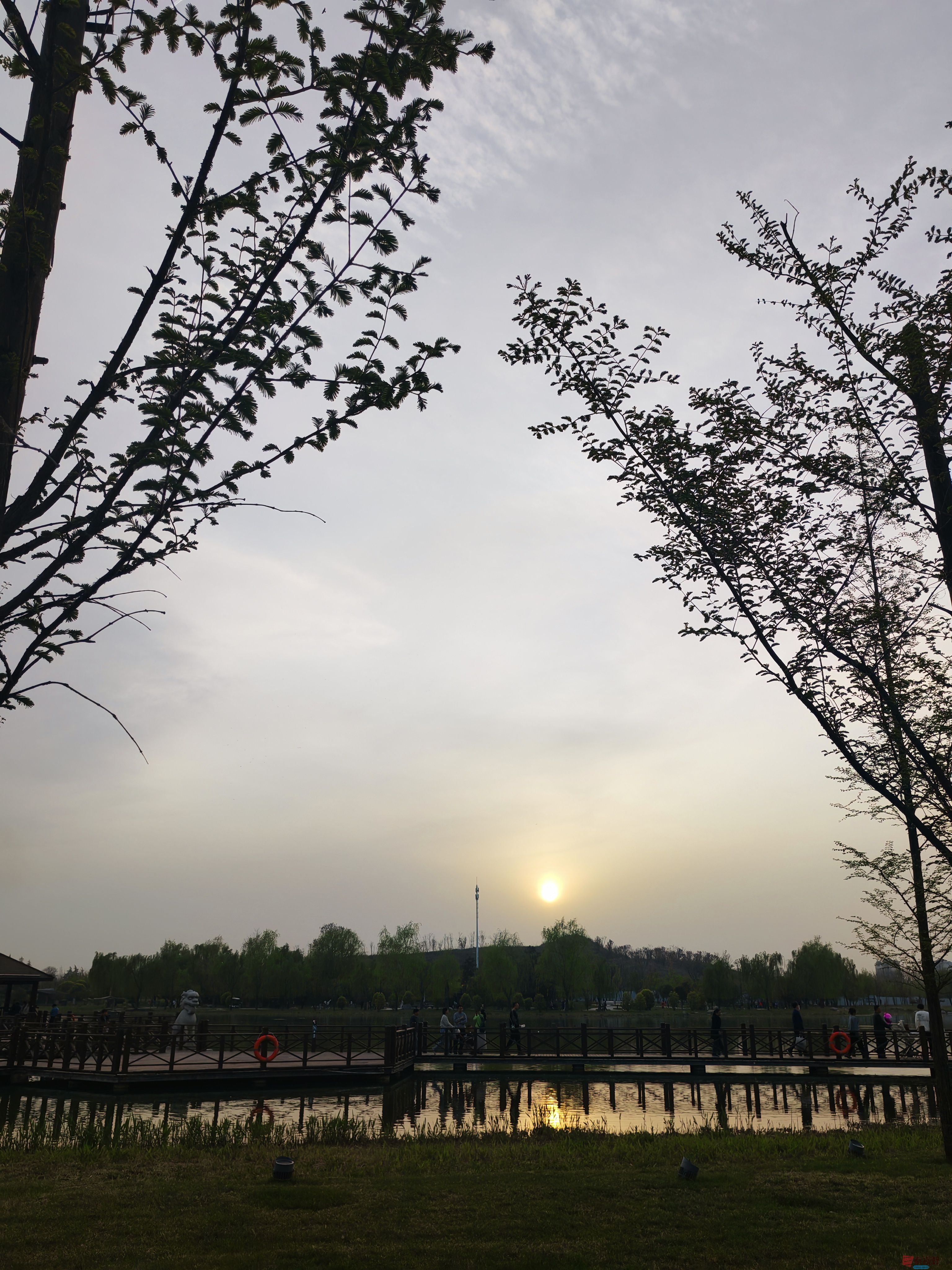 IMG_20250405_183844.jpg