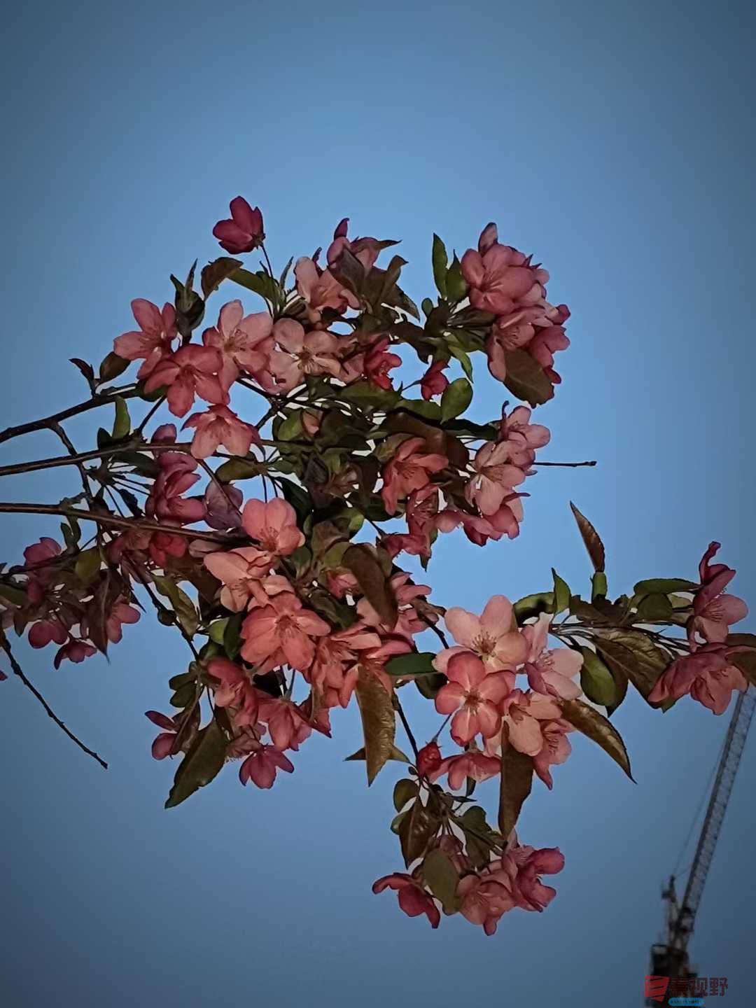 吕卫东_20250408130838 (9).jpg