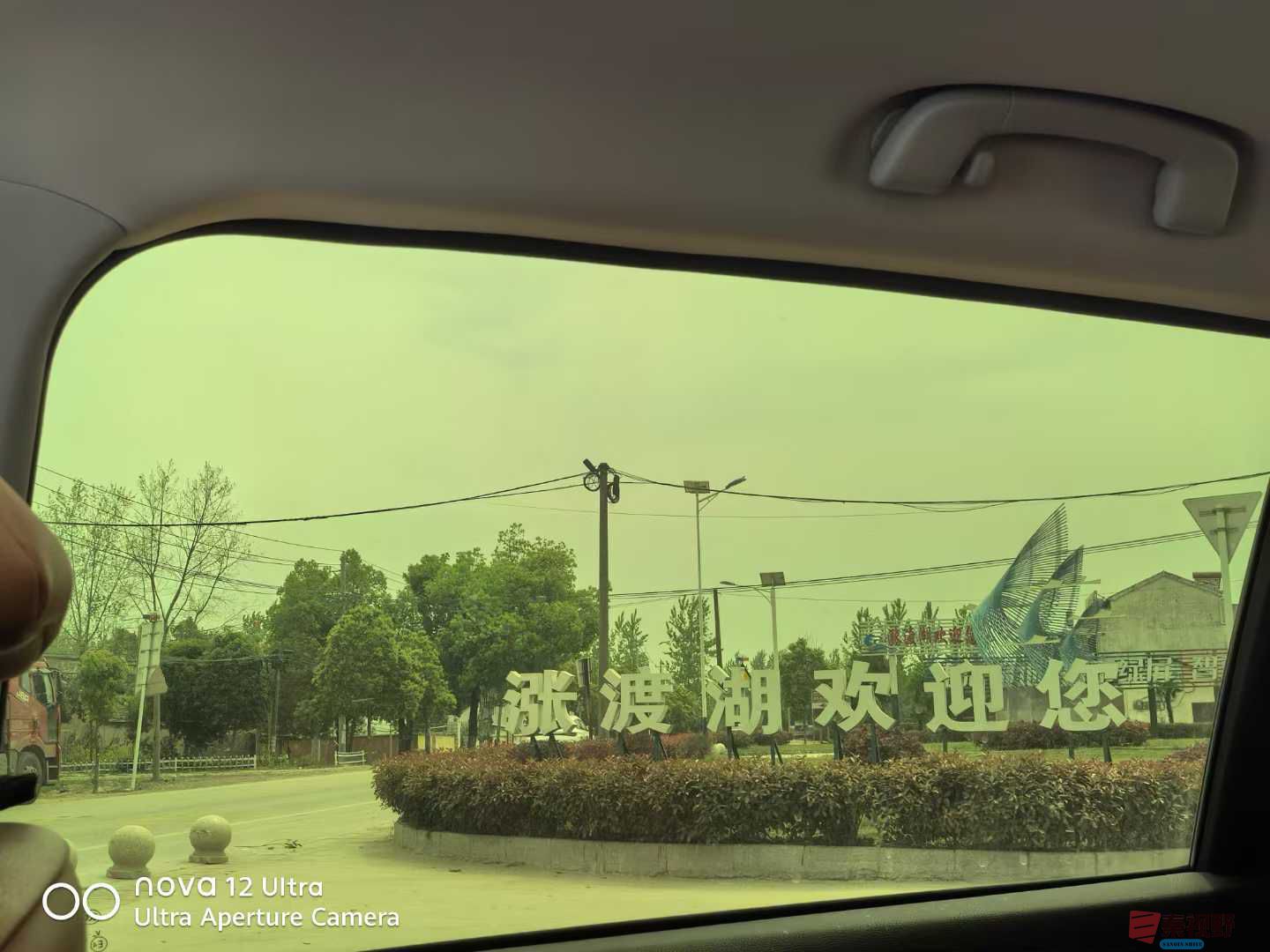 王子文_20250408102537 (2).jpg