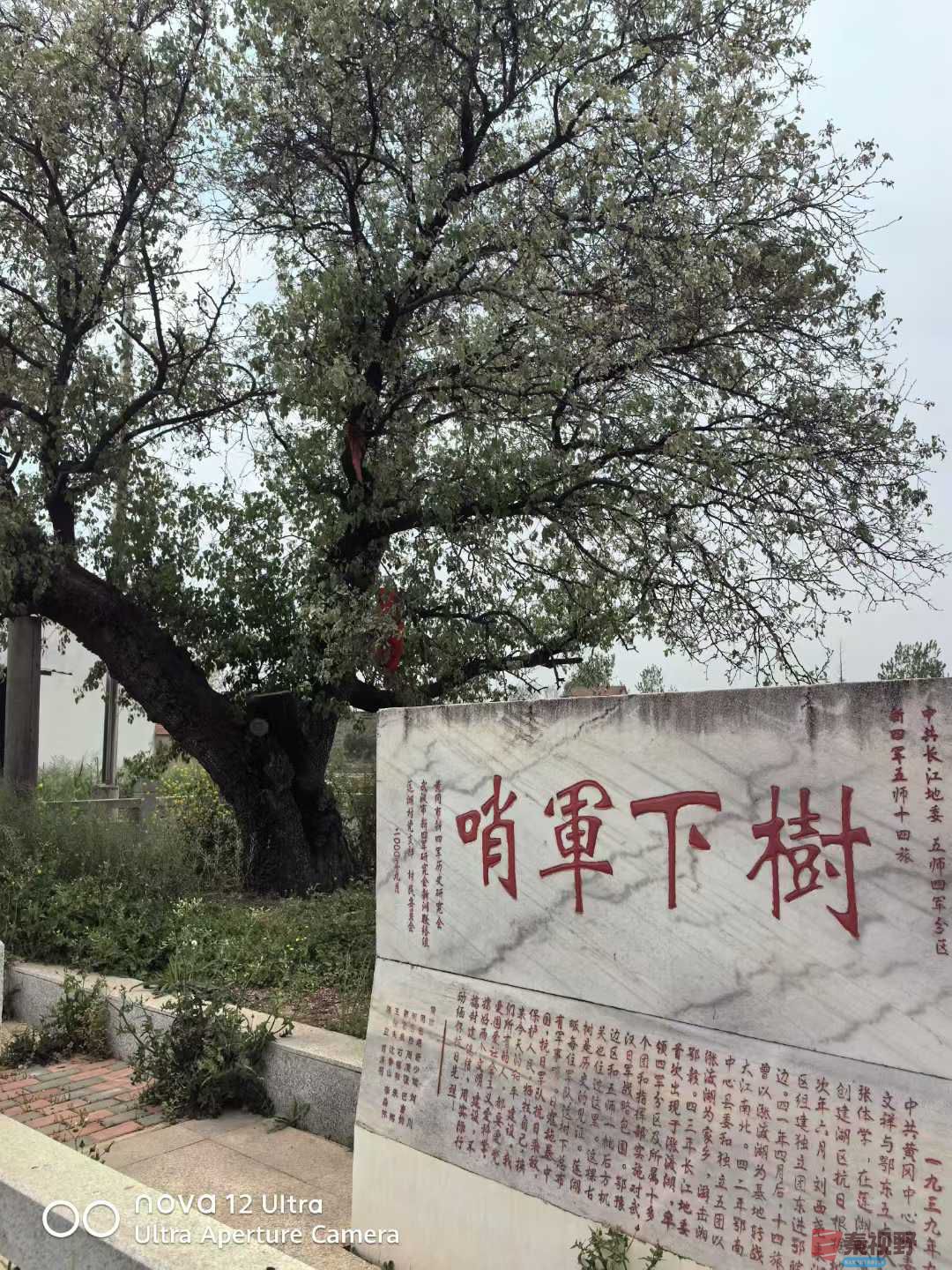 王子文_20250408102537 (4).jpg