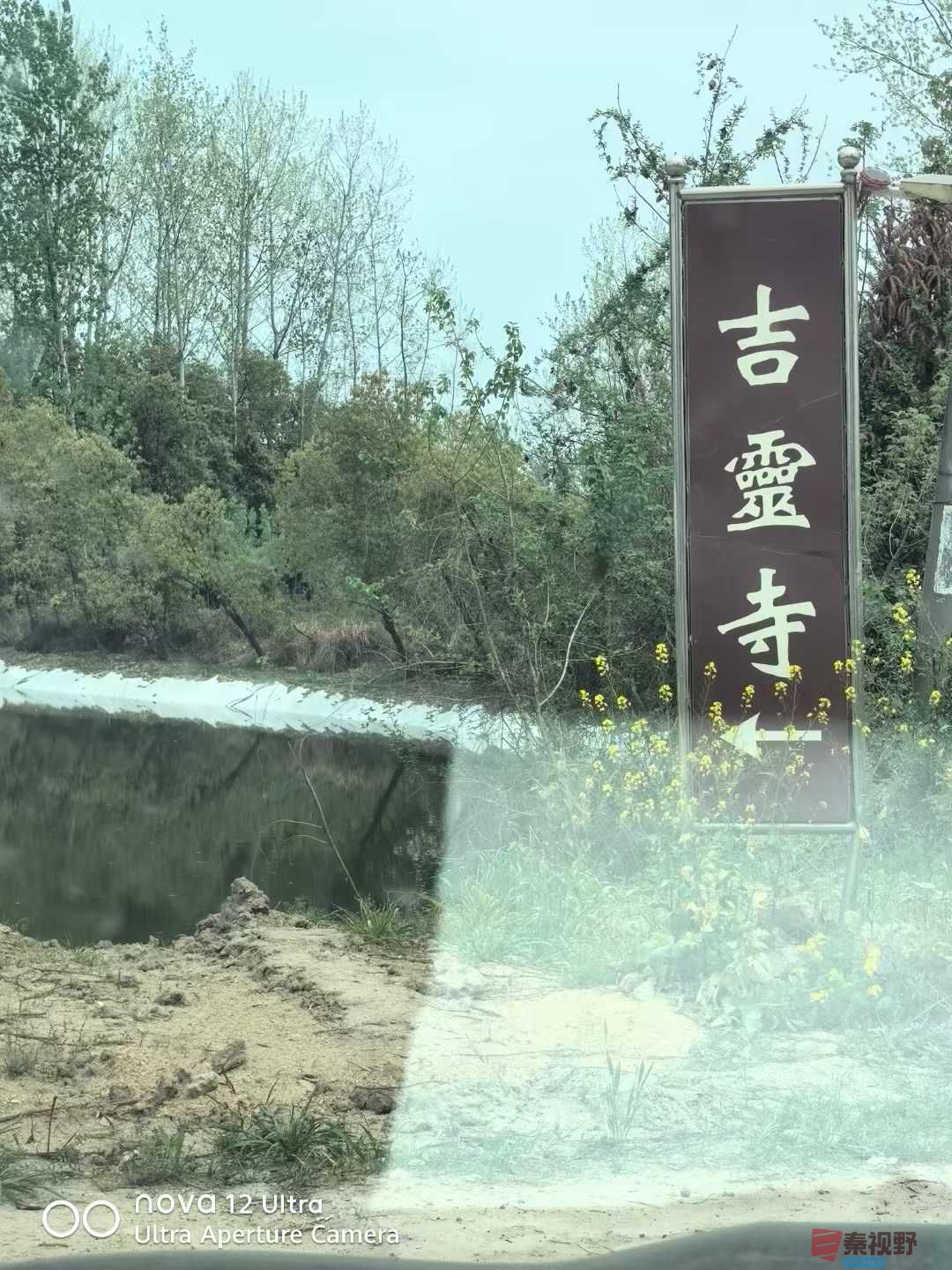 王子文_20250408102537 (5).jpg