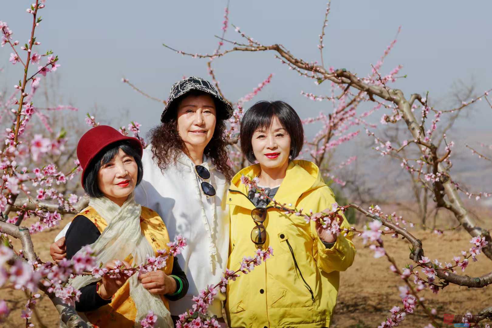 桃花盛开春意浓【摄影袁小保】