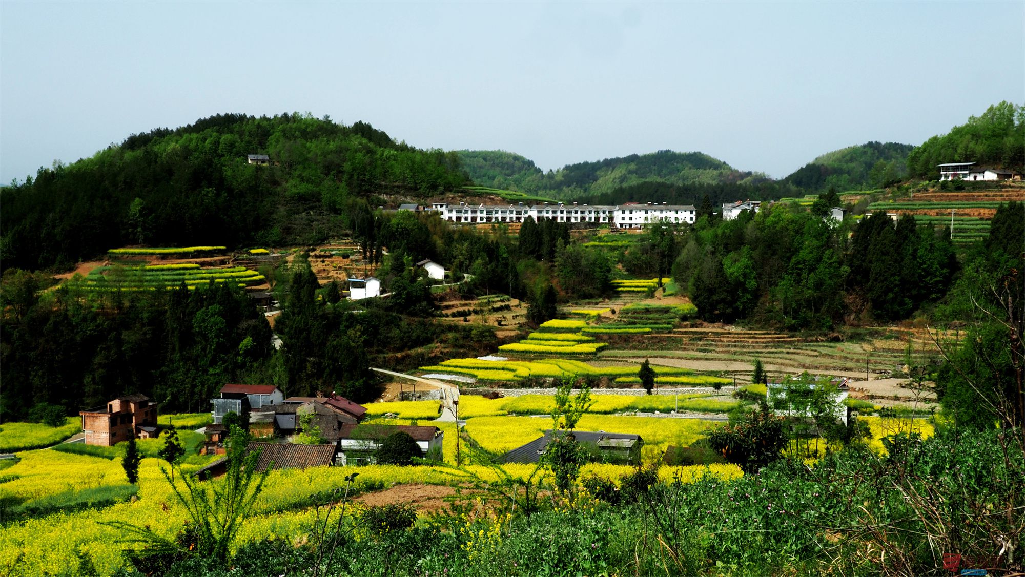 黄风升_20250409084518 (19).jpg