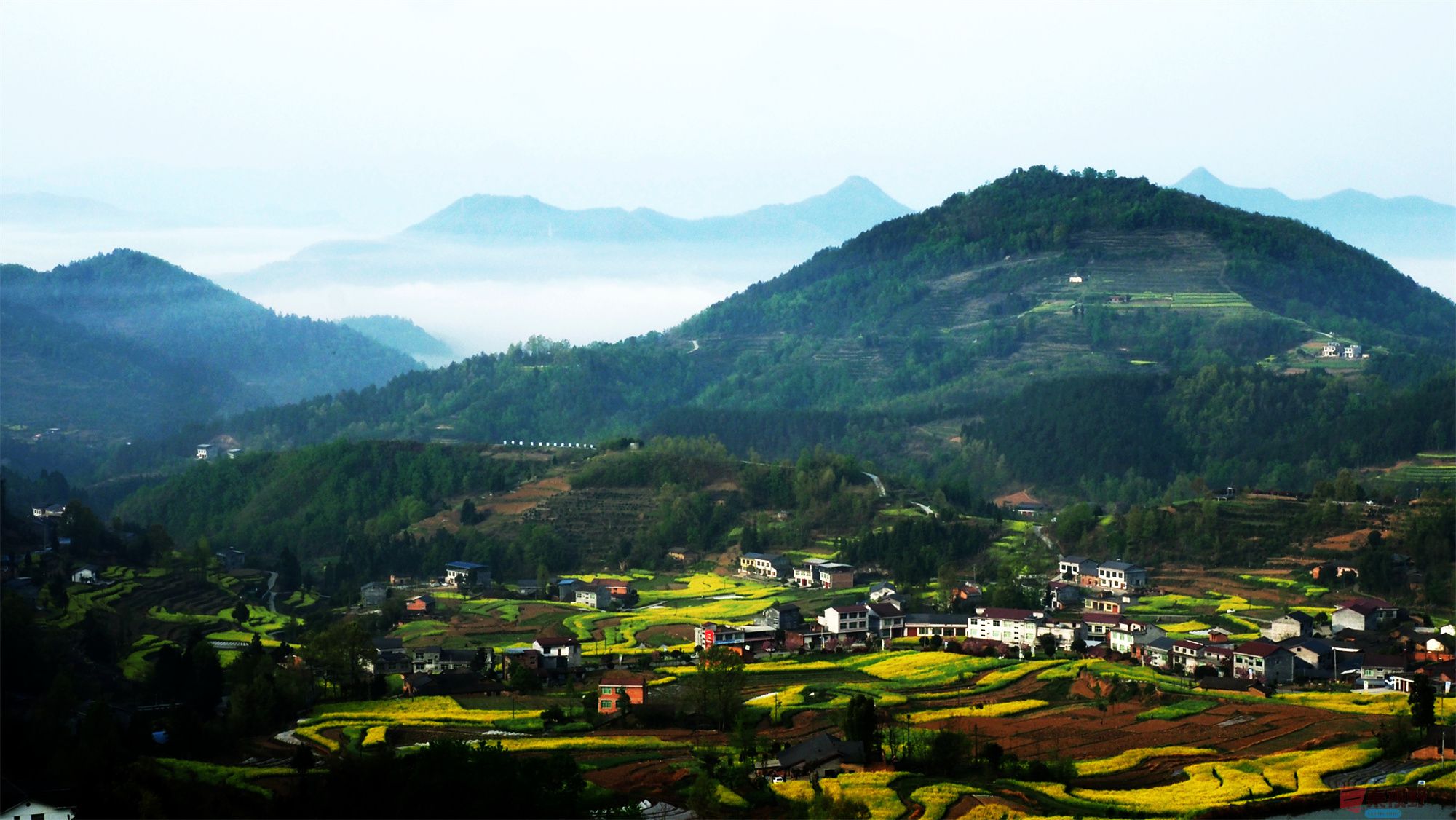黄风升_20250409084518 (23).jpg