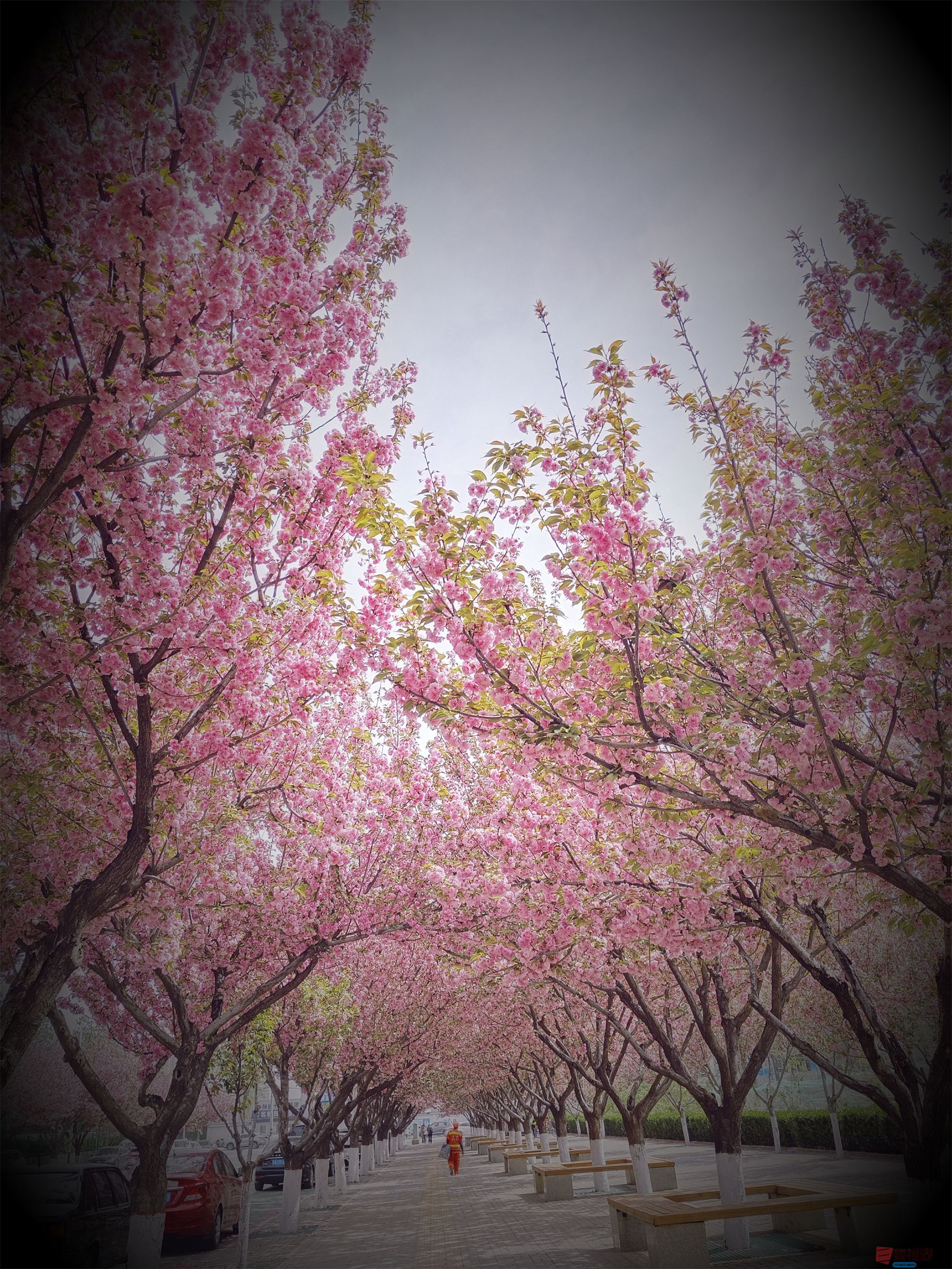 吕卫东0109.jpg