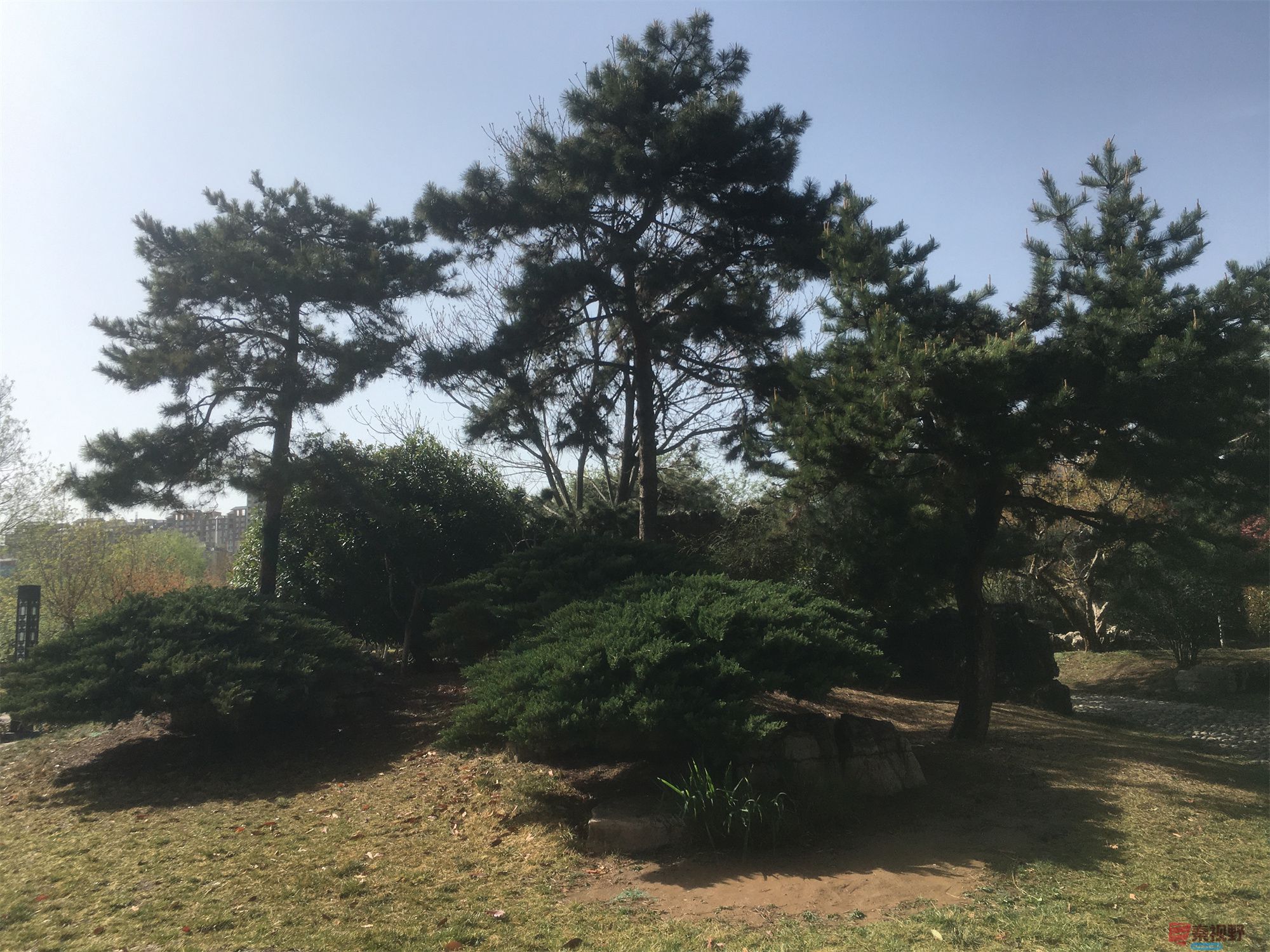 程胜利_20250412191304 (7).jpg