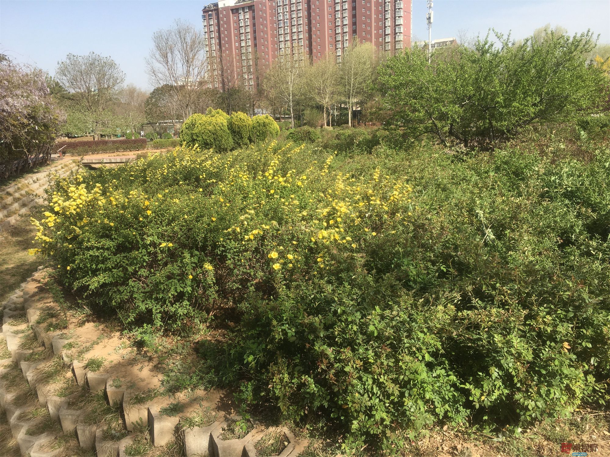 程胜利_20250412191304 (9).jpg