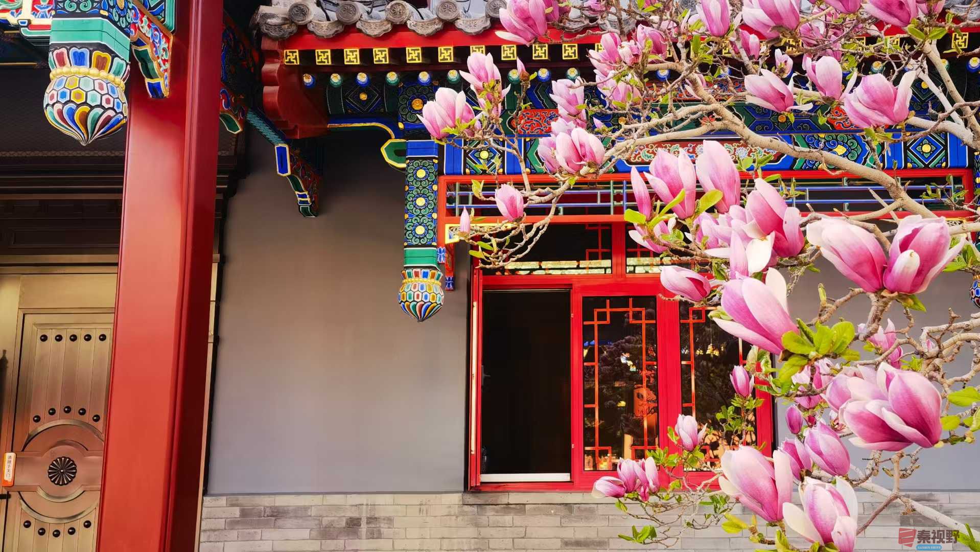 马世国_20250412191107 (1).jpg