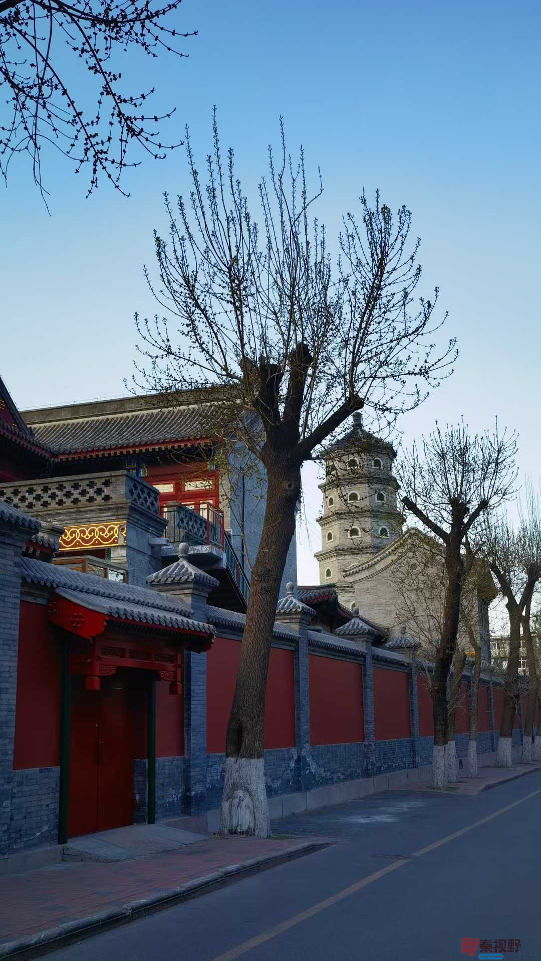 马世国_20250412191107 (3).jpg