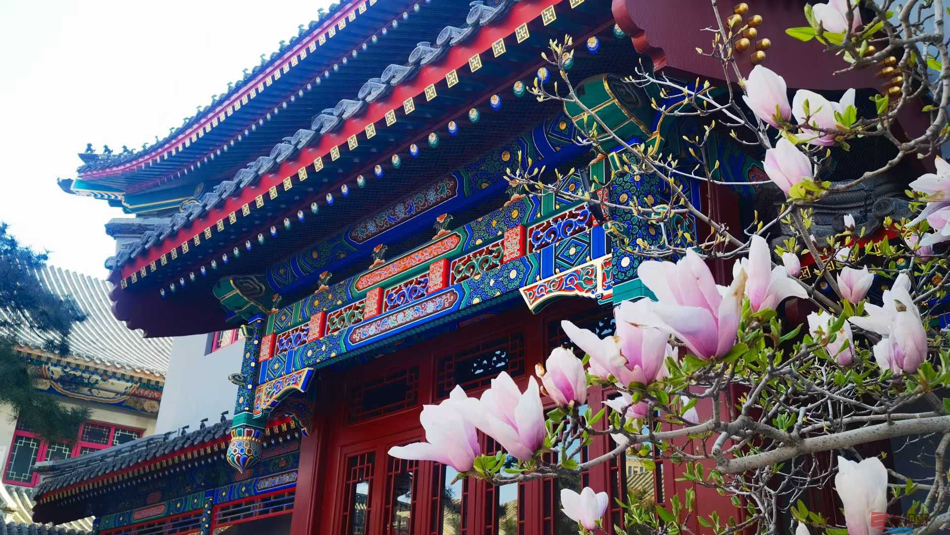 马世国_20250412191107 (7).jpg
