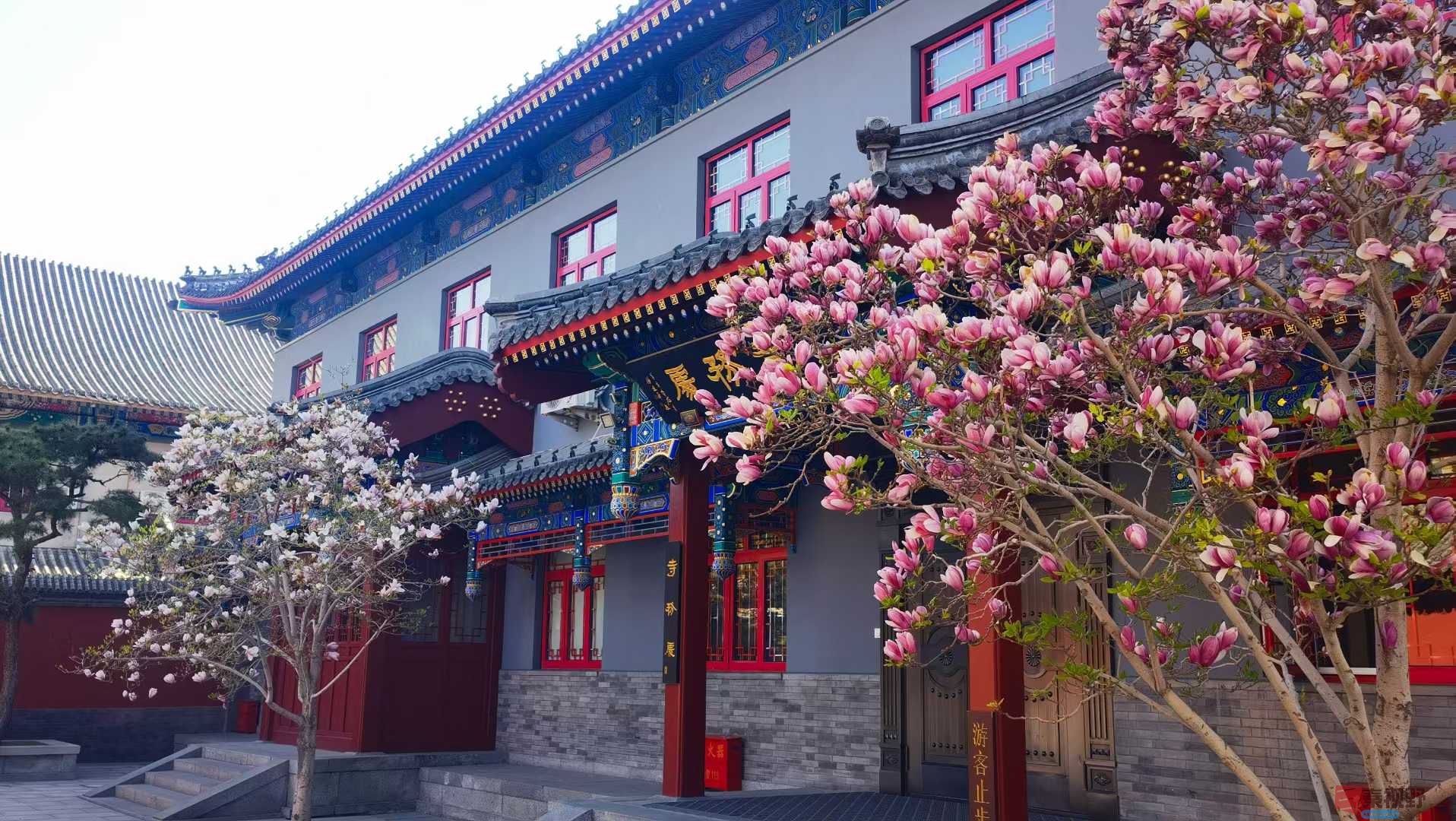 马世国_20250412191107 (8).jpg