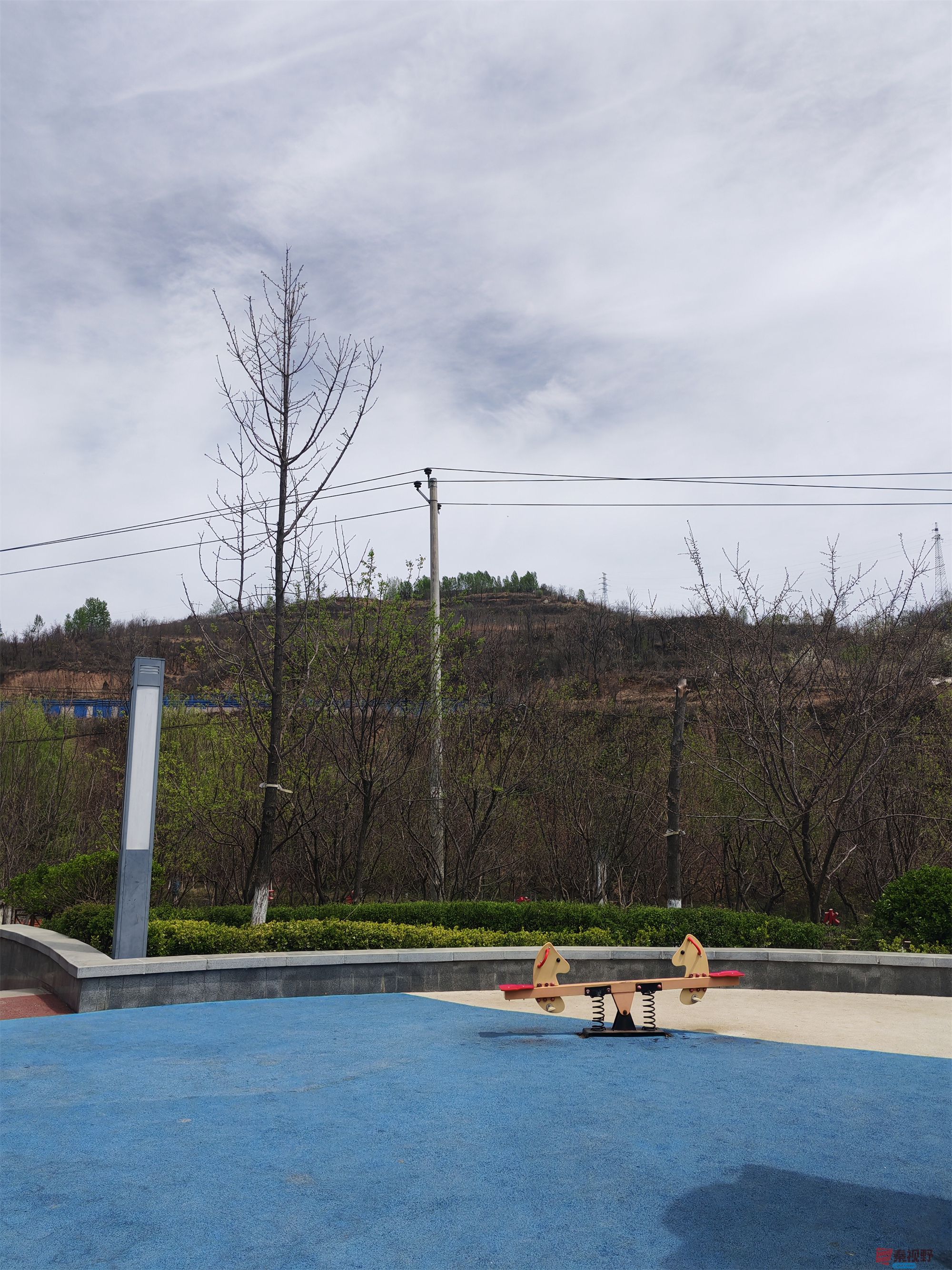 压缩MG_20250415_122635 (12).jpg
