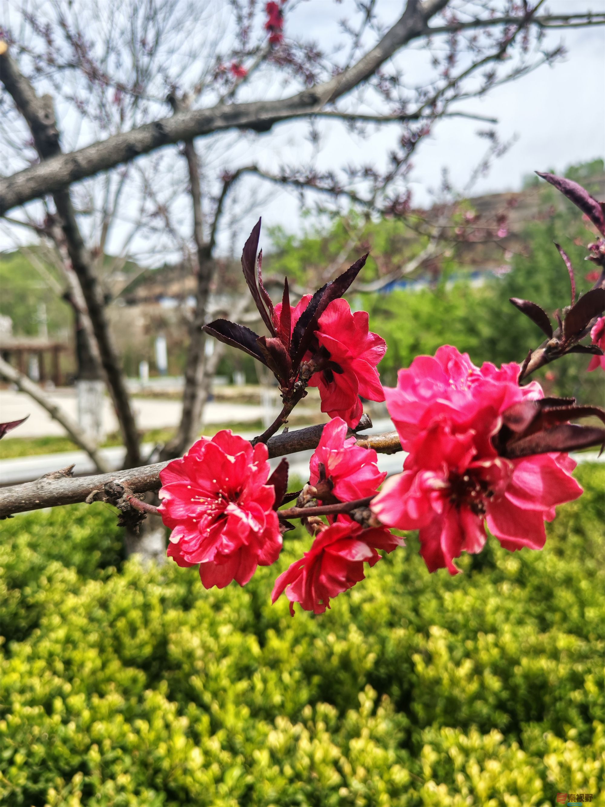 压缩MG_20250415_122635 (18).jpg