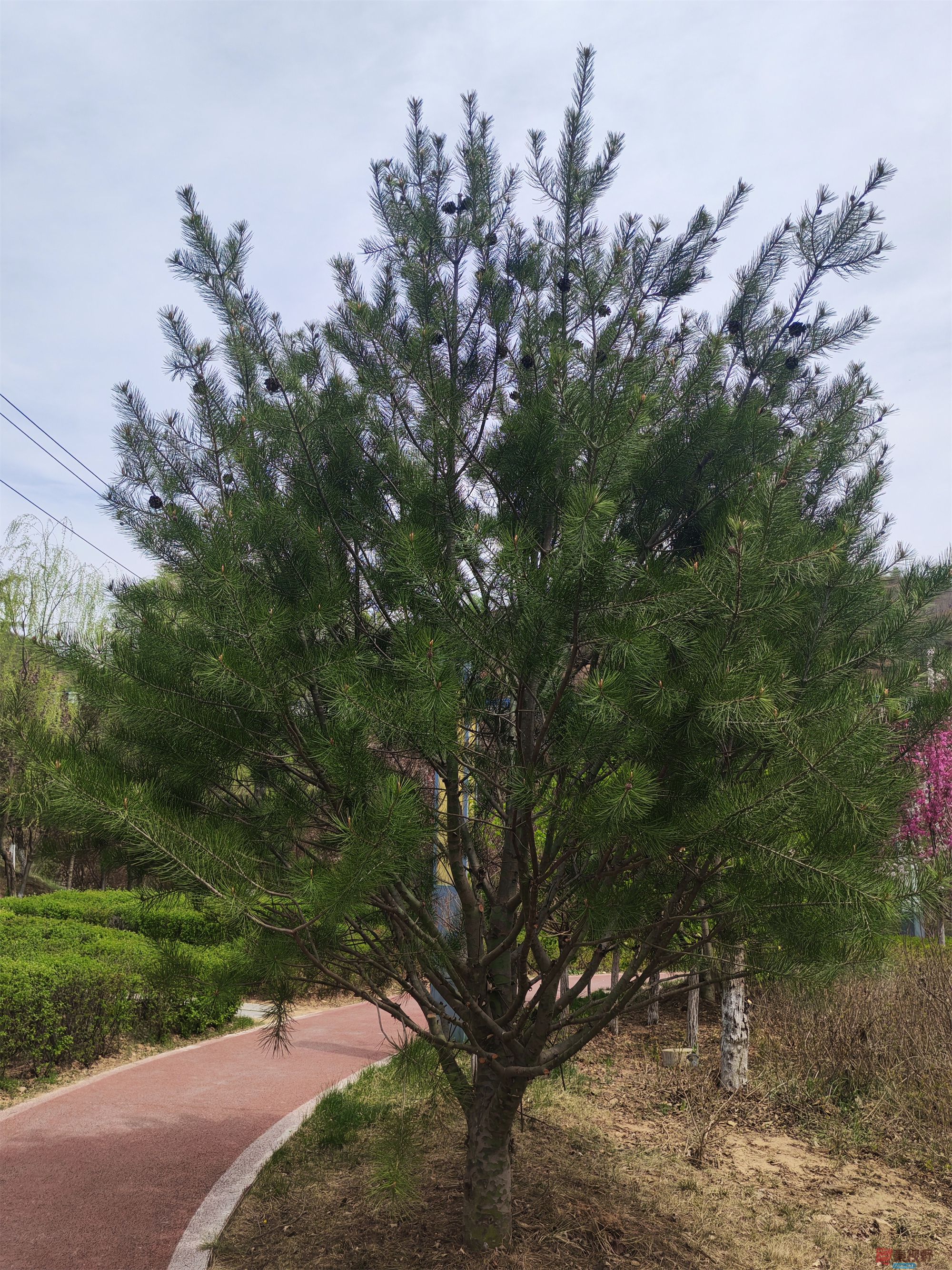压缩MG_20250415_122635 (23).jpg