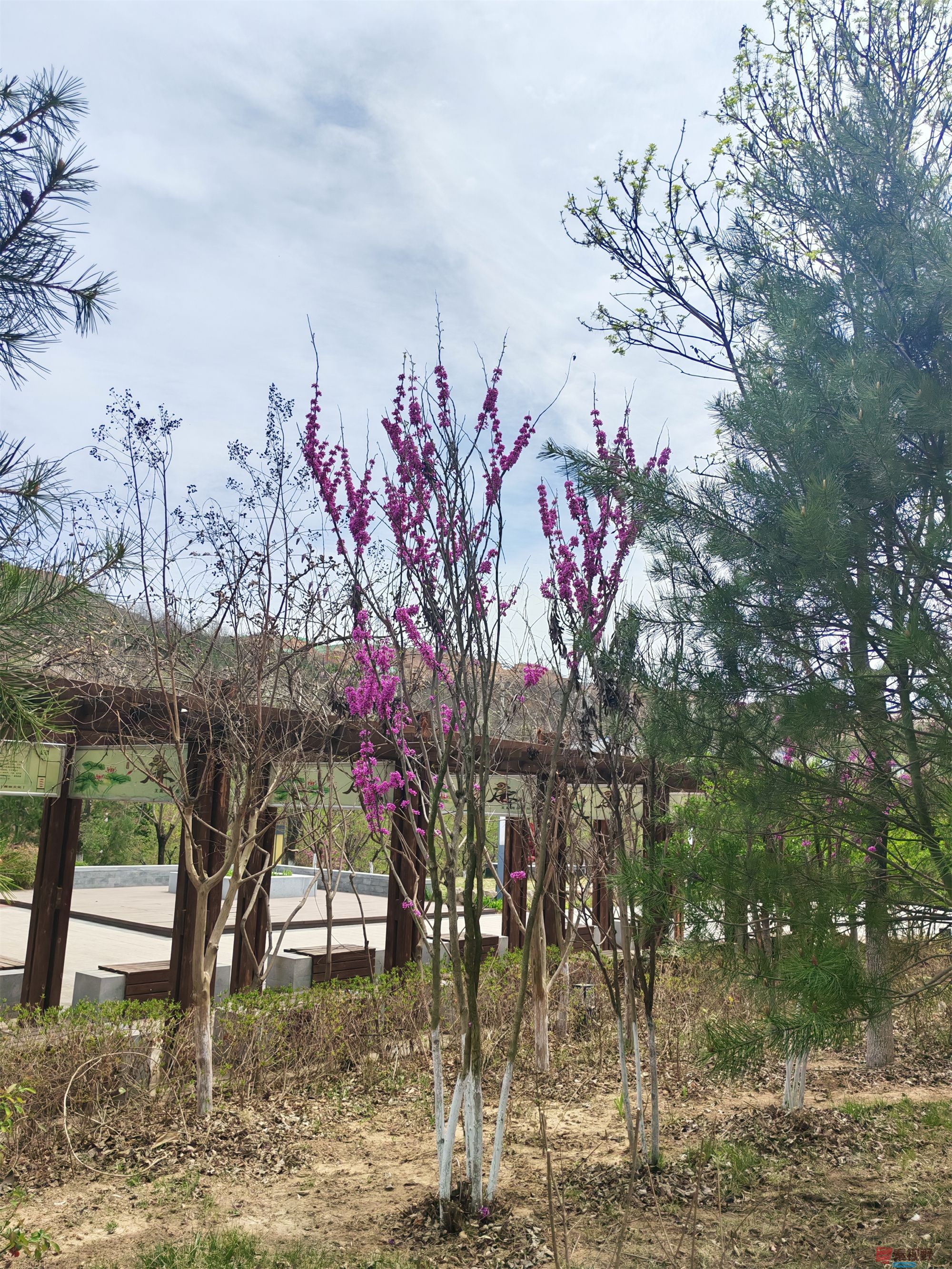 压缩MG_20250415_122635 (24).jpg