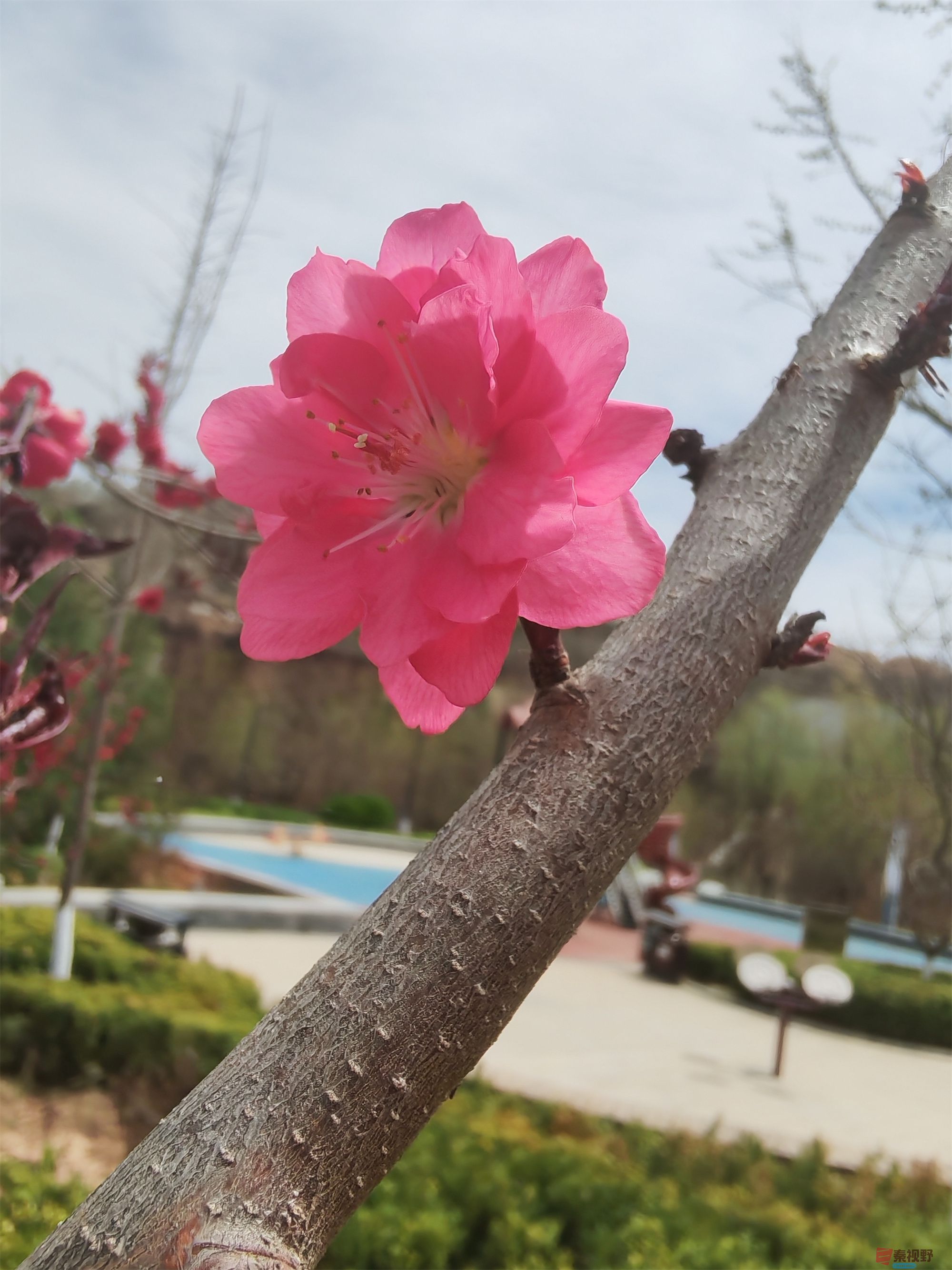 压缩MG_20250415_122635 (19).jpg
