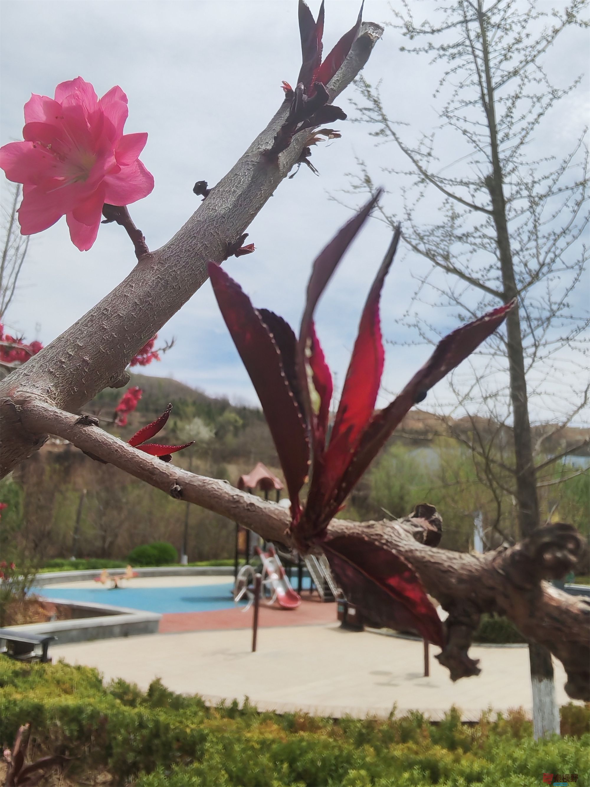 压缩MG_20250415_122635 (20).jpg