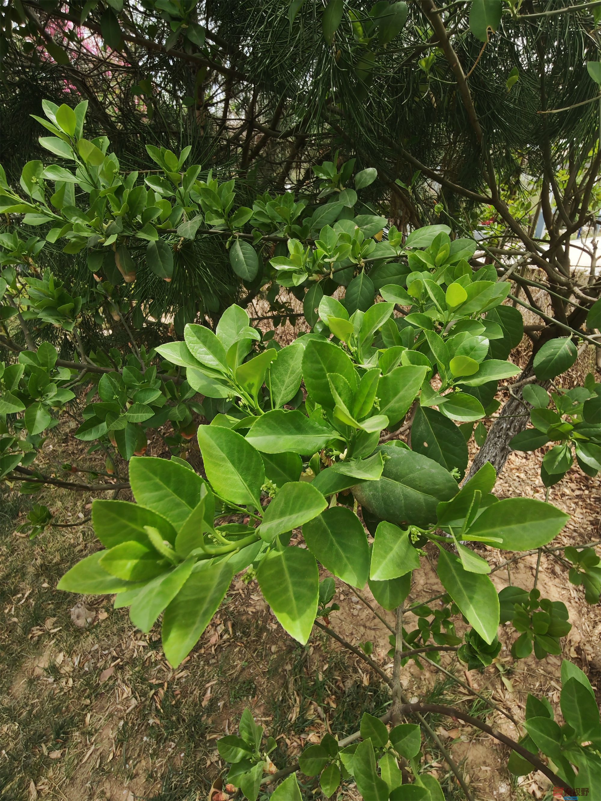 压缩MG_20250415_122635 (29).jpg