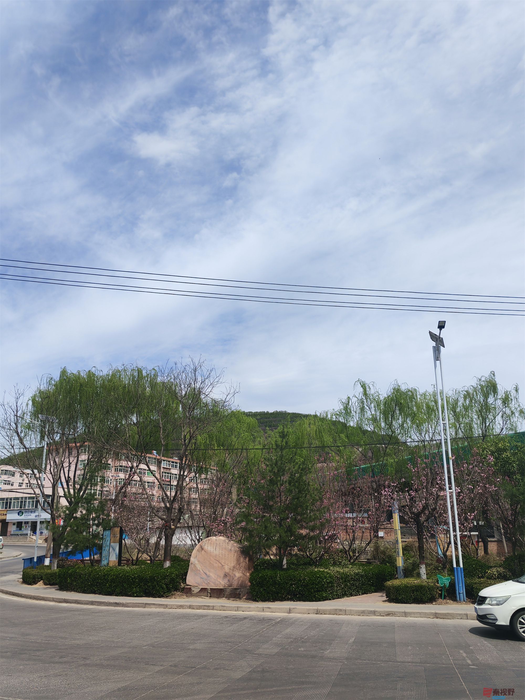 压缩MG_20250415_122635 (41).jpg