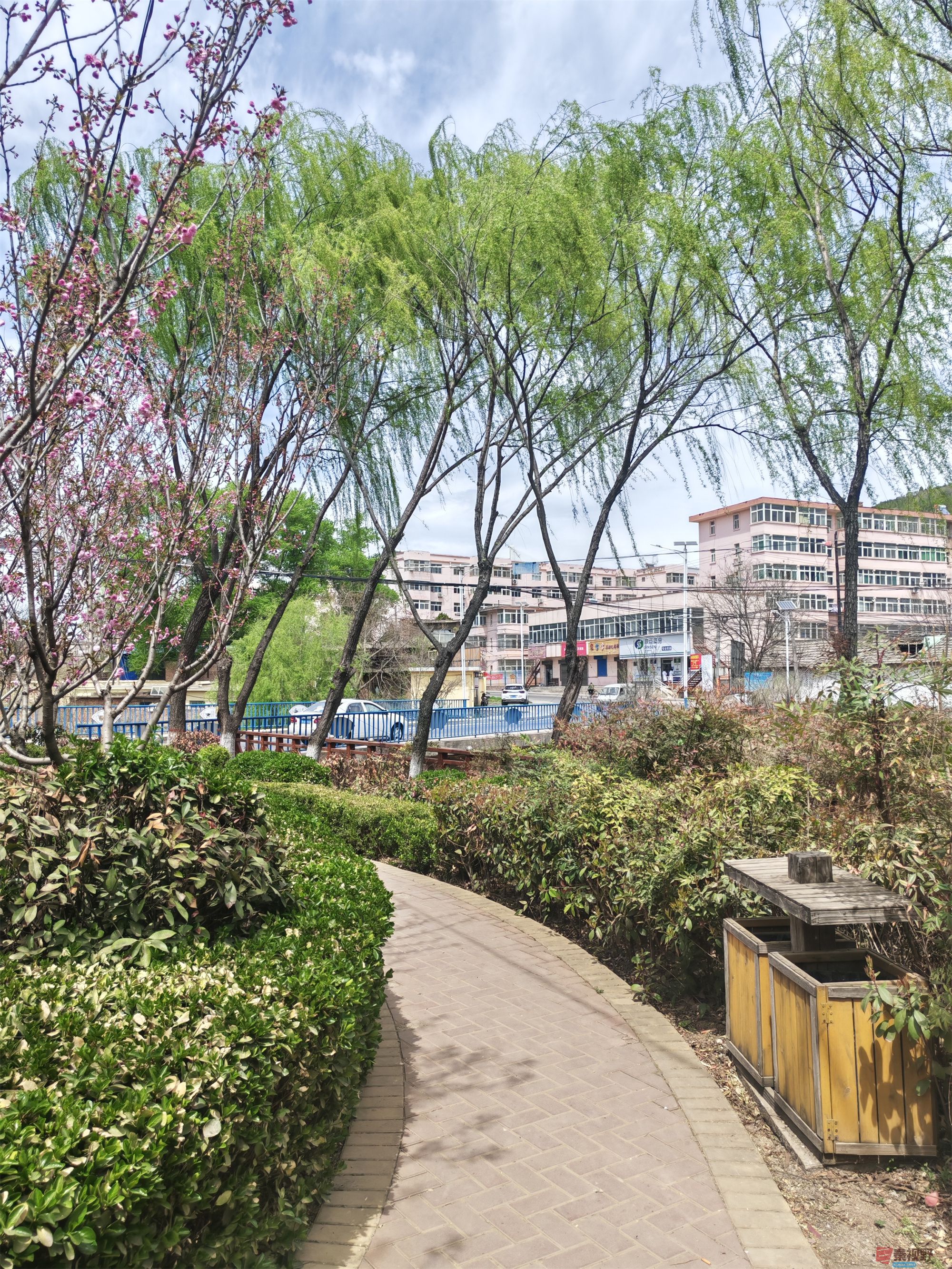 人间最美四月天，铜川王家河湿地公园好风景（6）  【摄影周春
