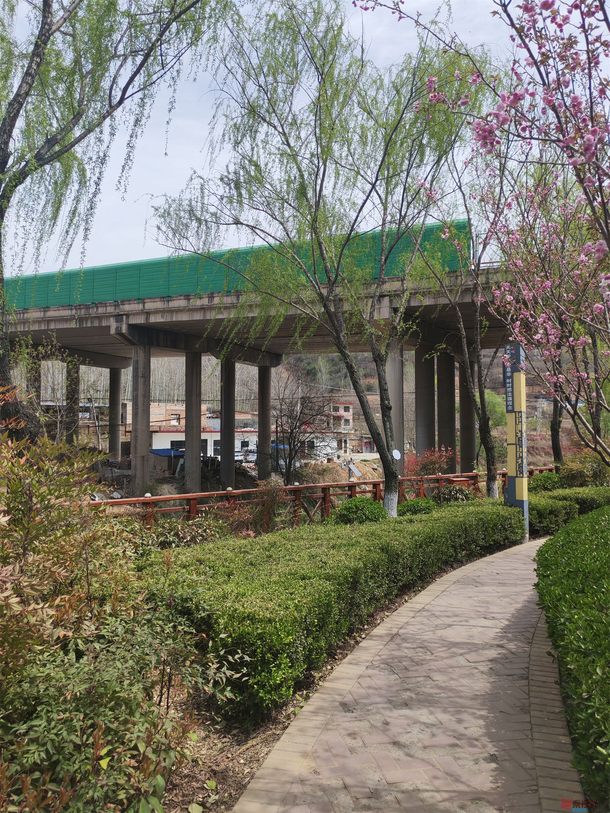 压缩MG_20250415_122635 (47).jpg