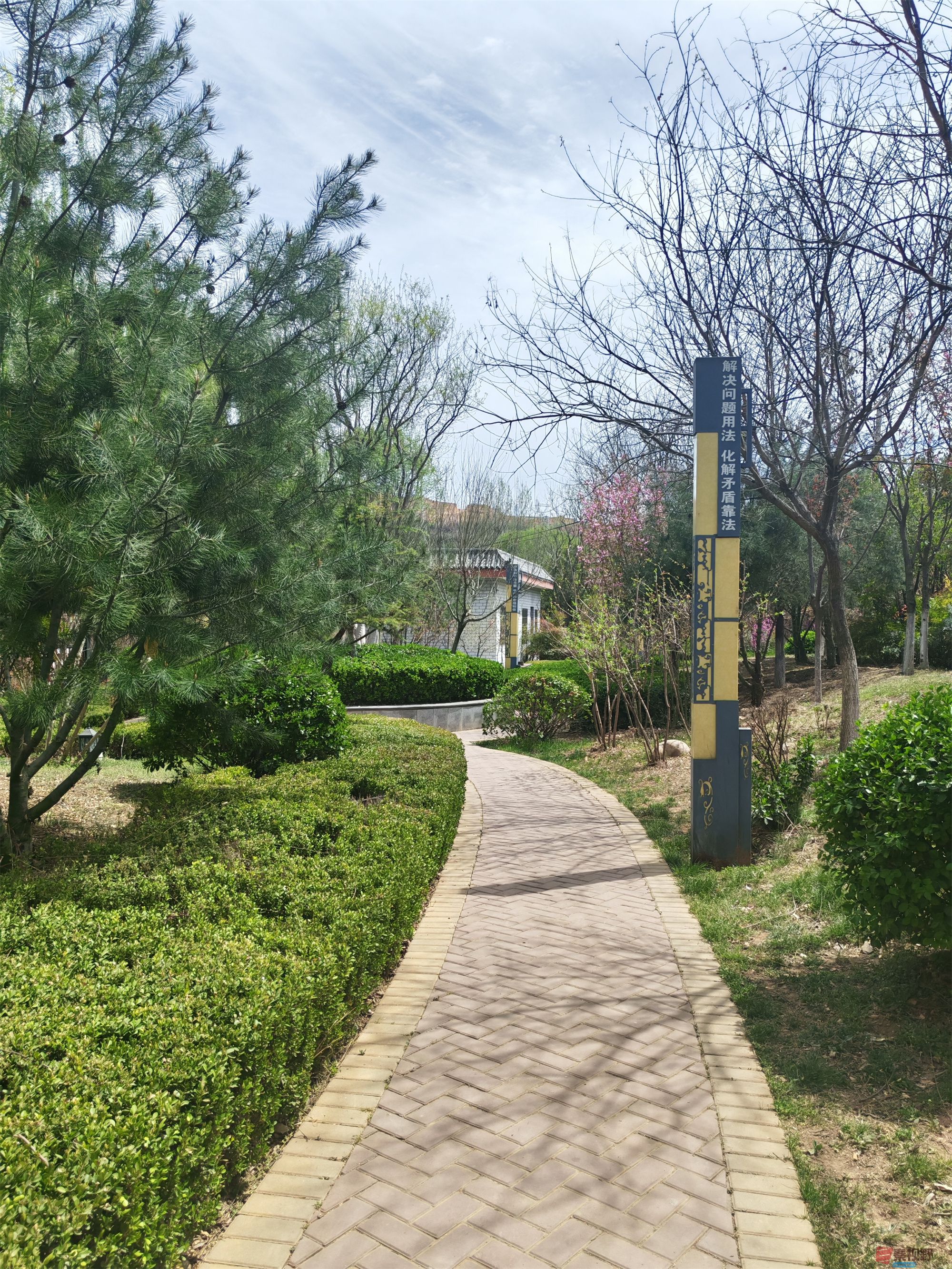 压缩MG_20250415_122635 (50).jpg