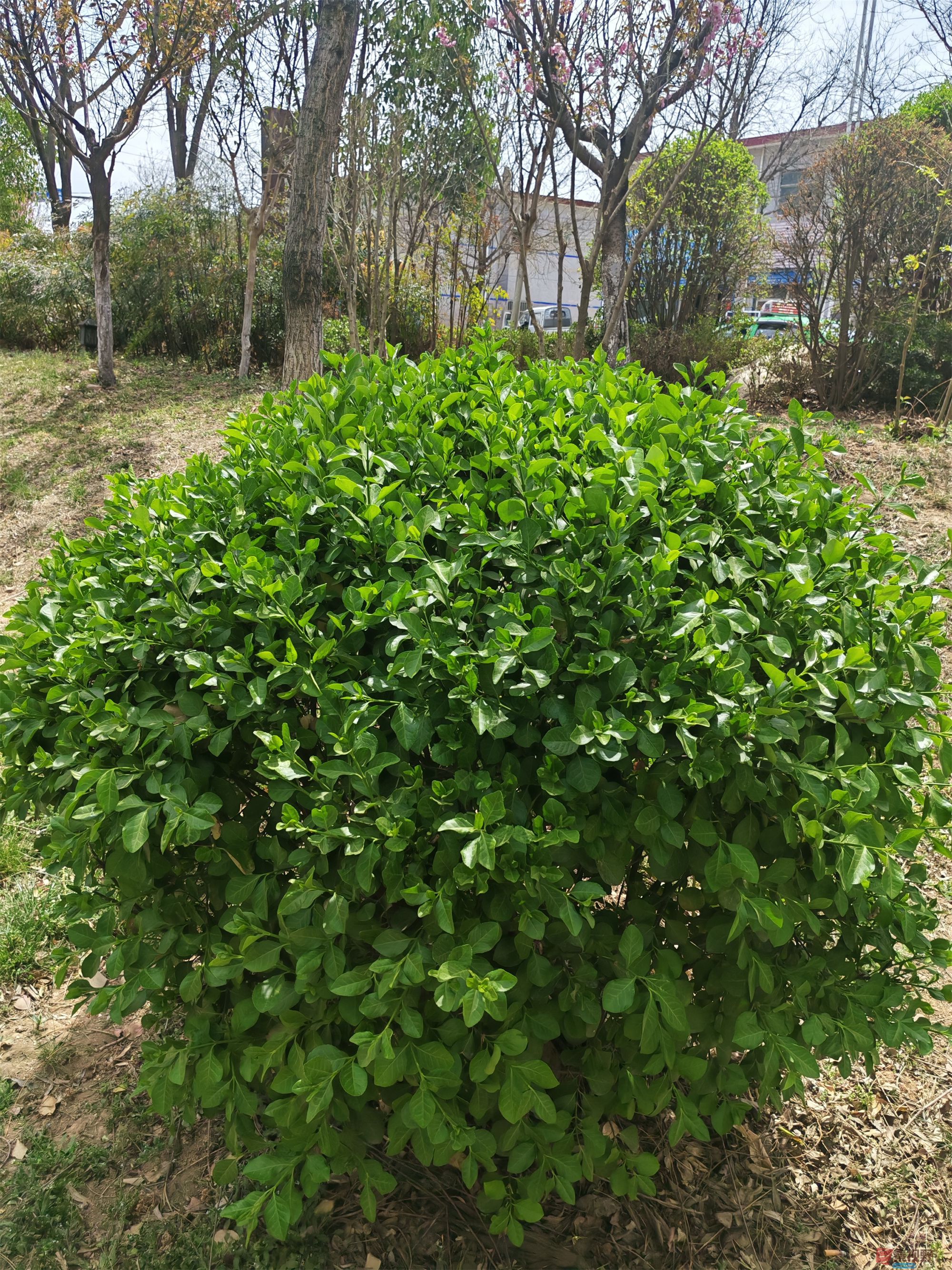 压缩MG_20250415_122635 (51).jpg