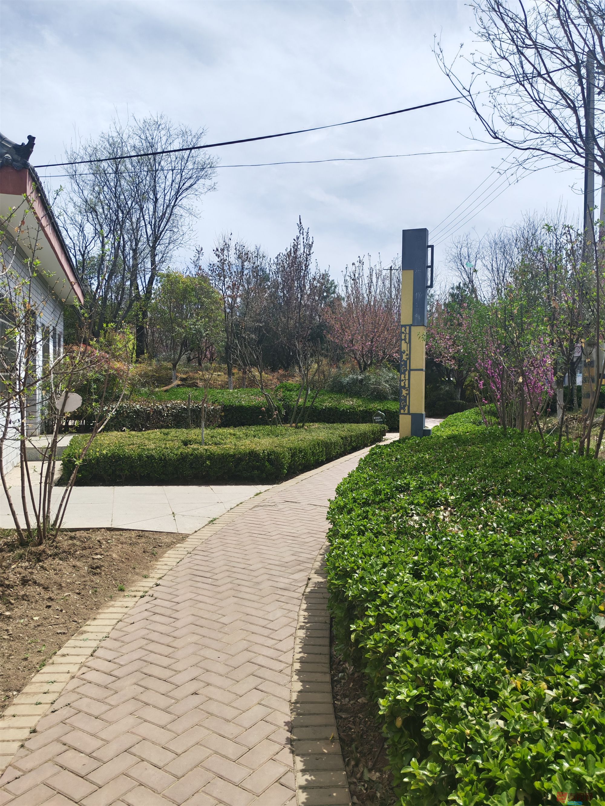 压缩MG_20250415_122635 (53).jpg