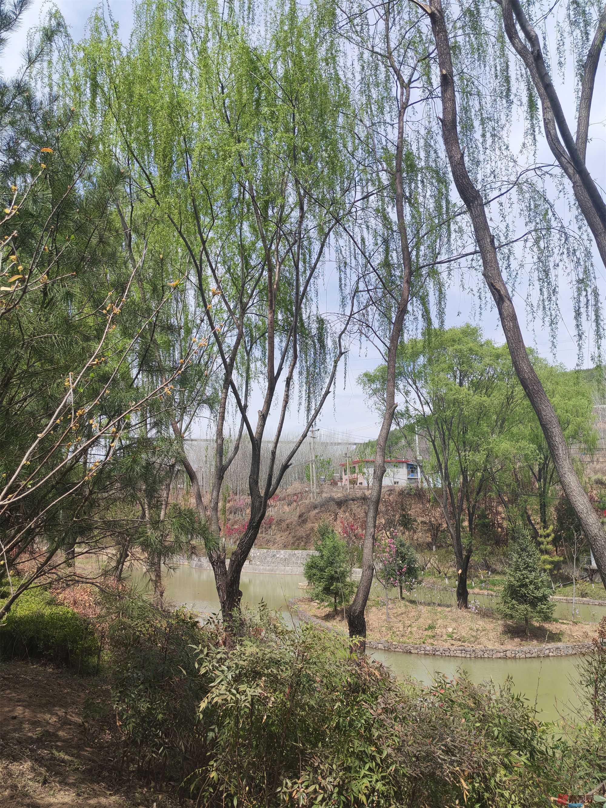 压缩MG_20250415_122635 (58).jpg