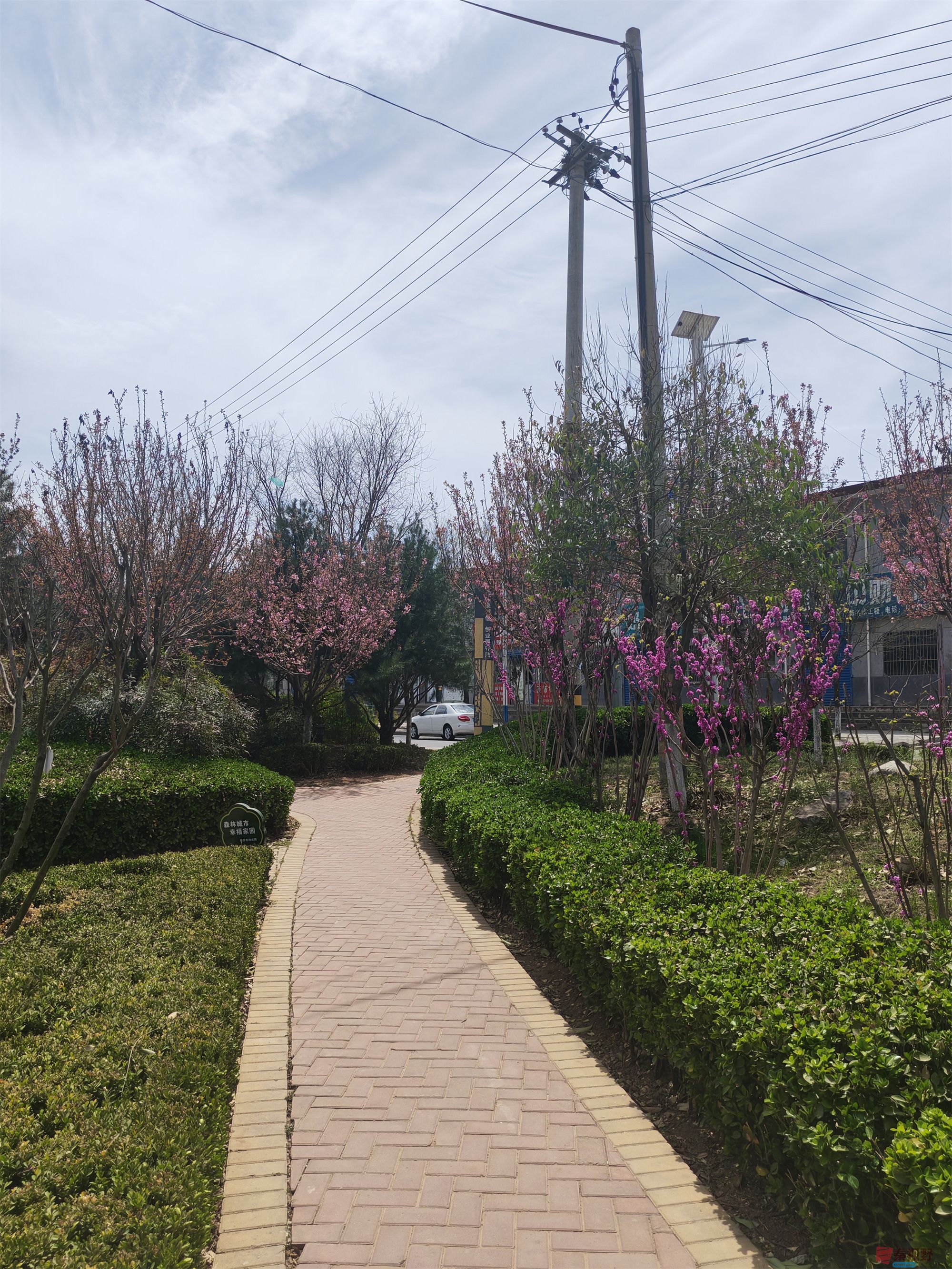 压缩MG_20250415_122635 (61).jpg
