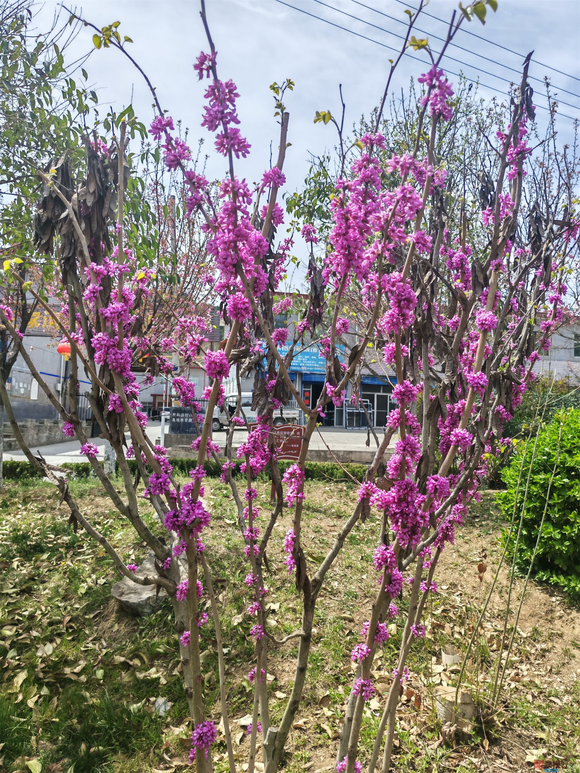 压缩MG_20250415_122635 (62).jpg