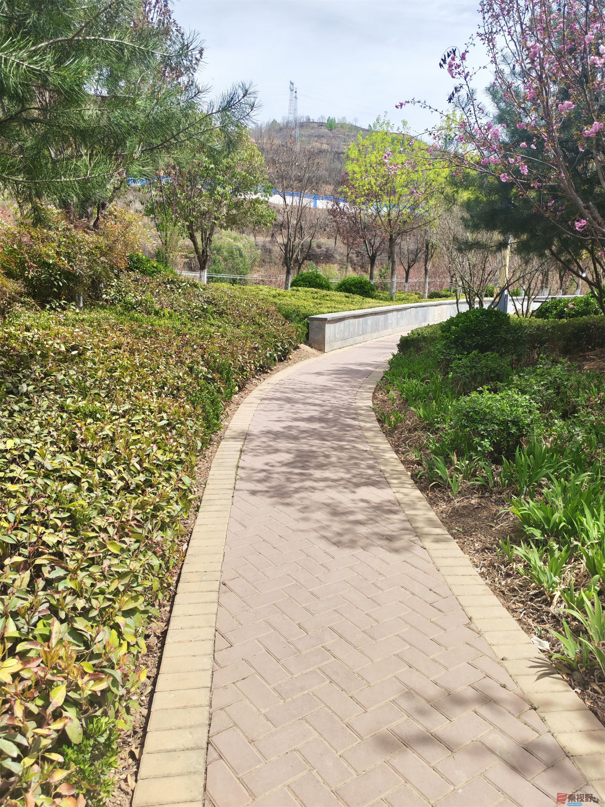 压缩MG_20250415_122635 (64).jpg