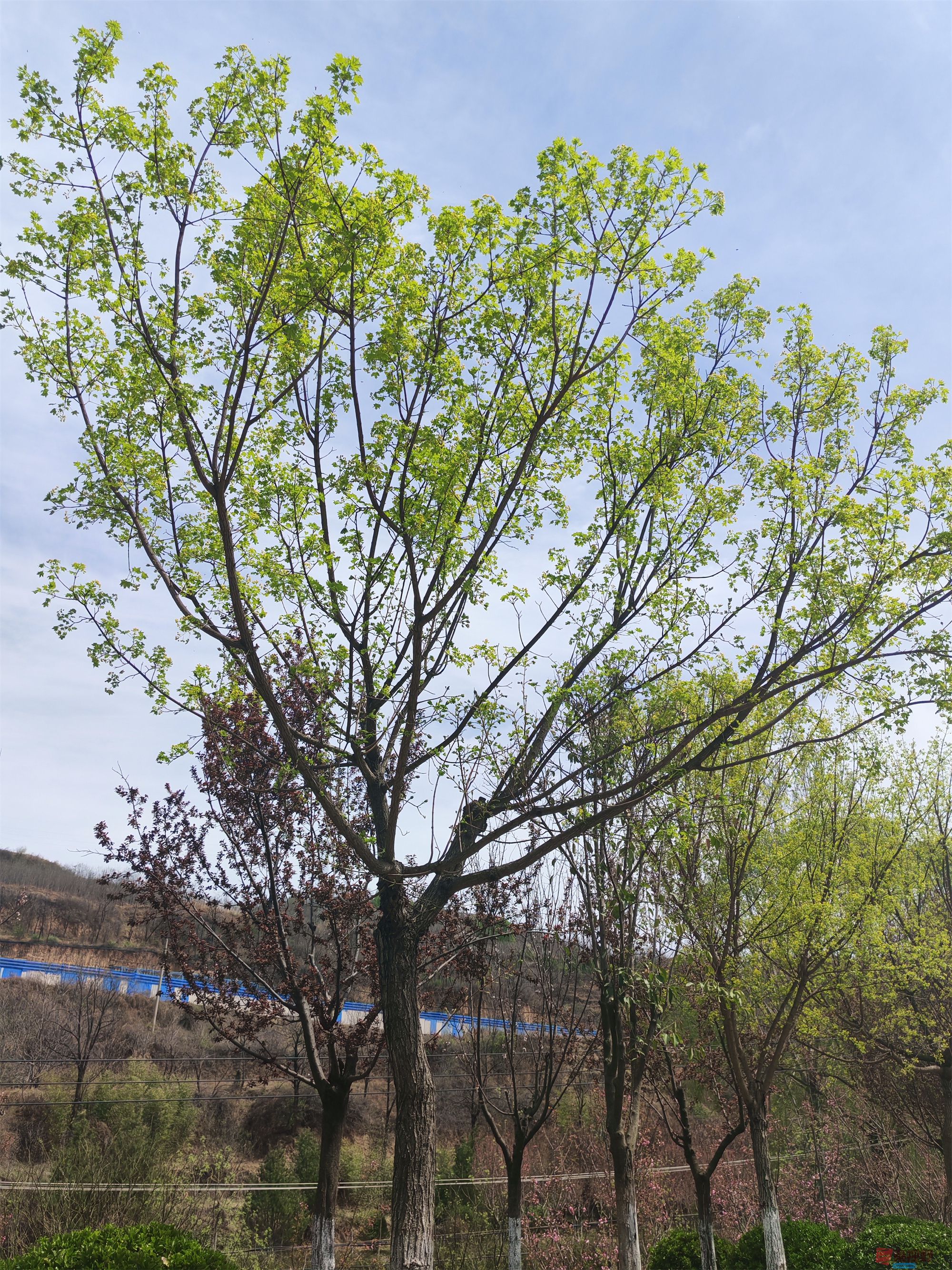 压缩MG_20250415_122635 (65).jpg