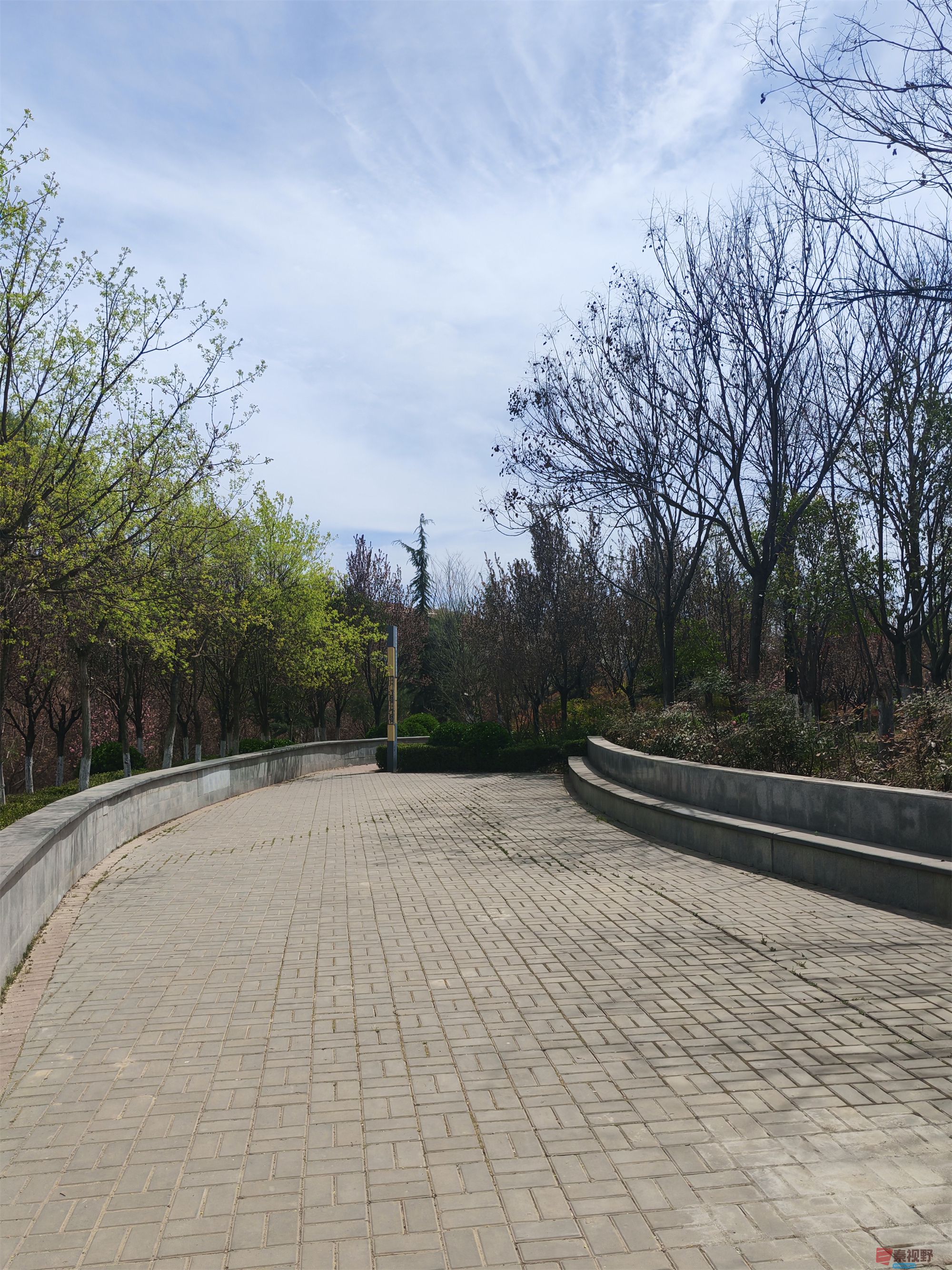 压缩MG_20250415_122635 (66).jpg