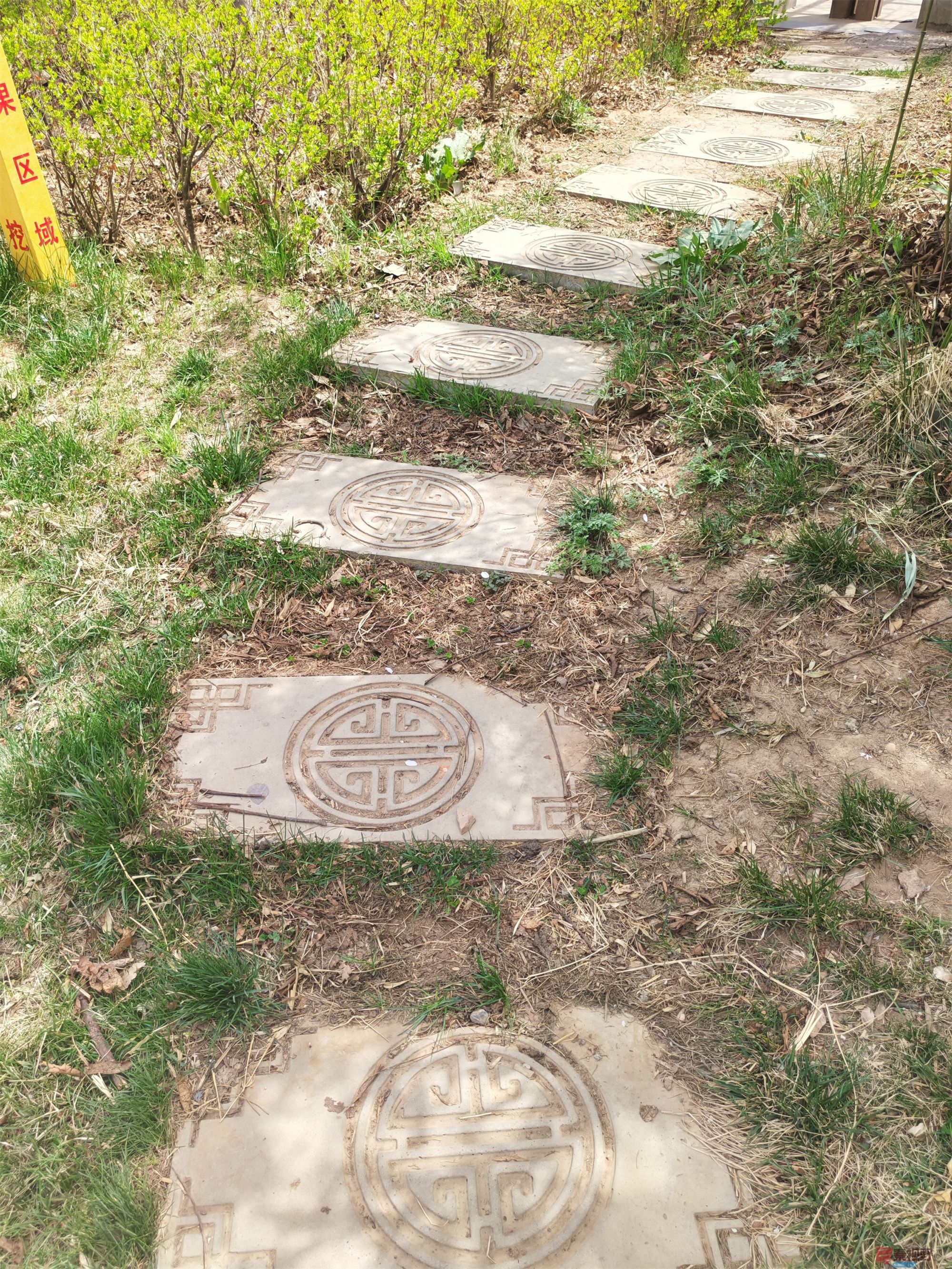 压缩MG_20250415_122635 (76).jpg